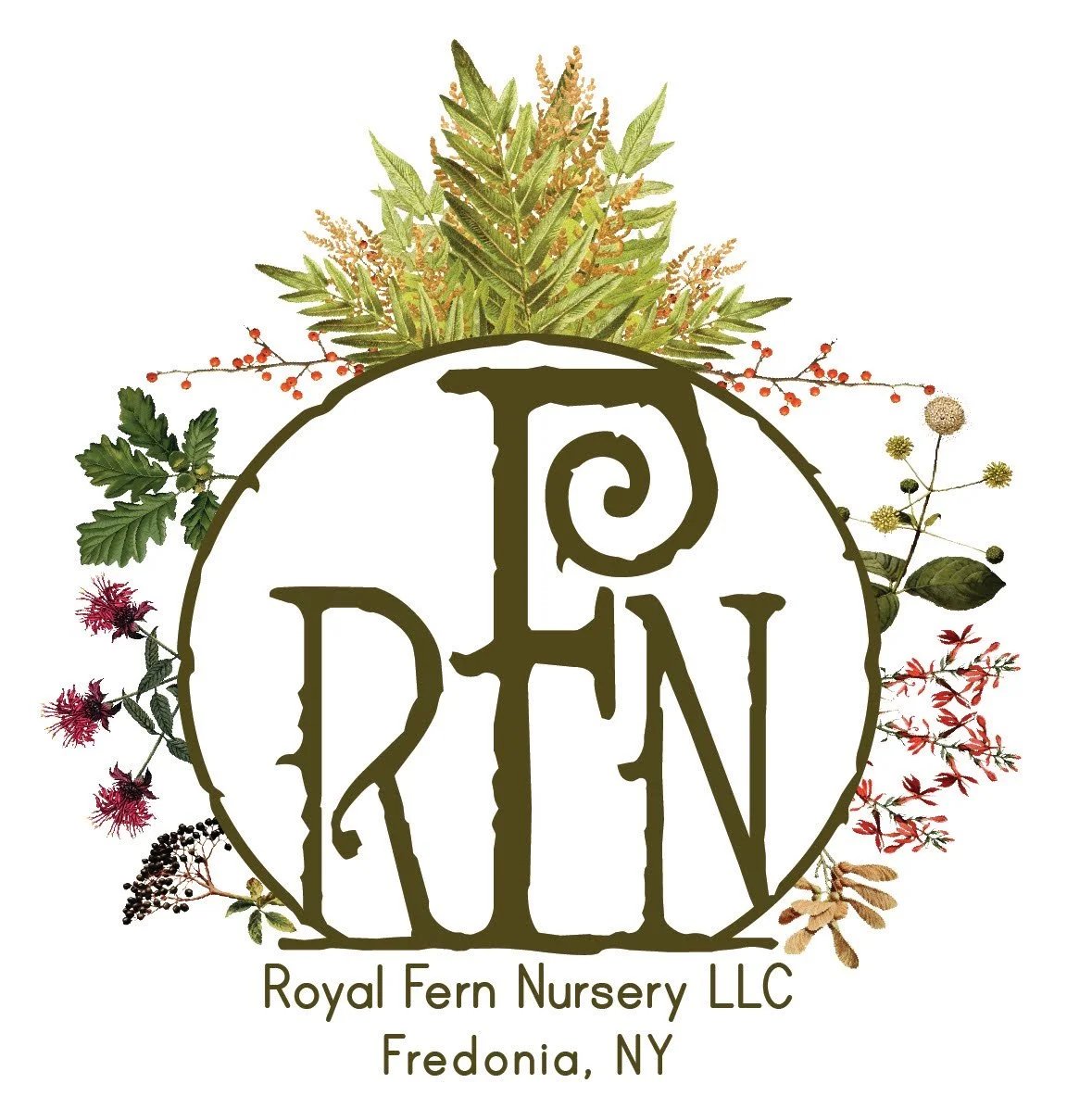 Royal Fern Nursury