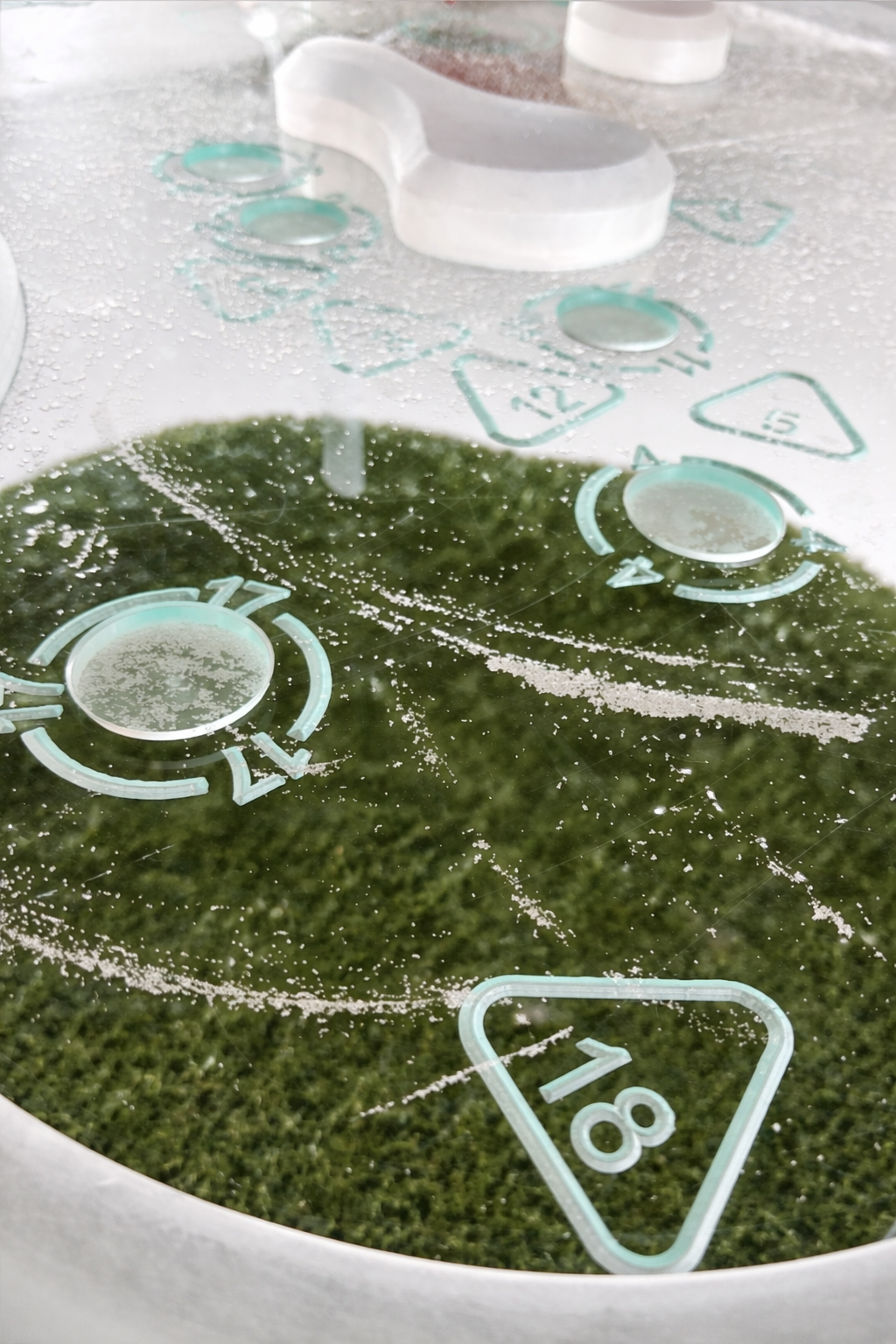Table Top Close Up.png