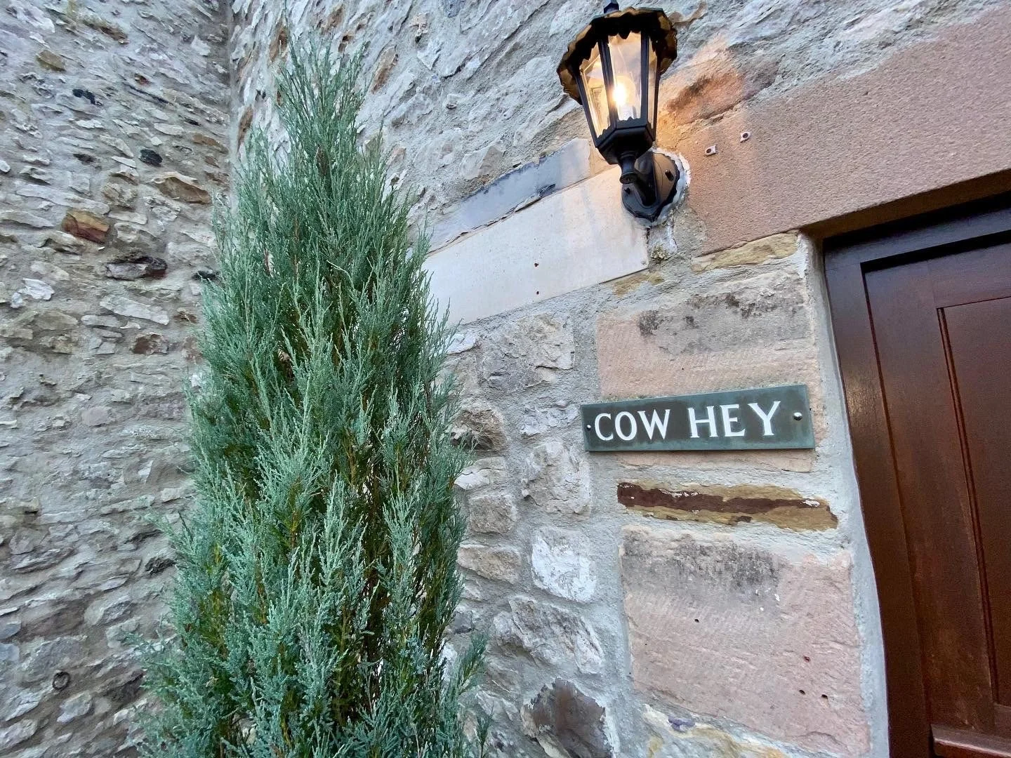 Cow Hey