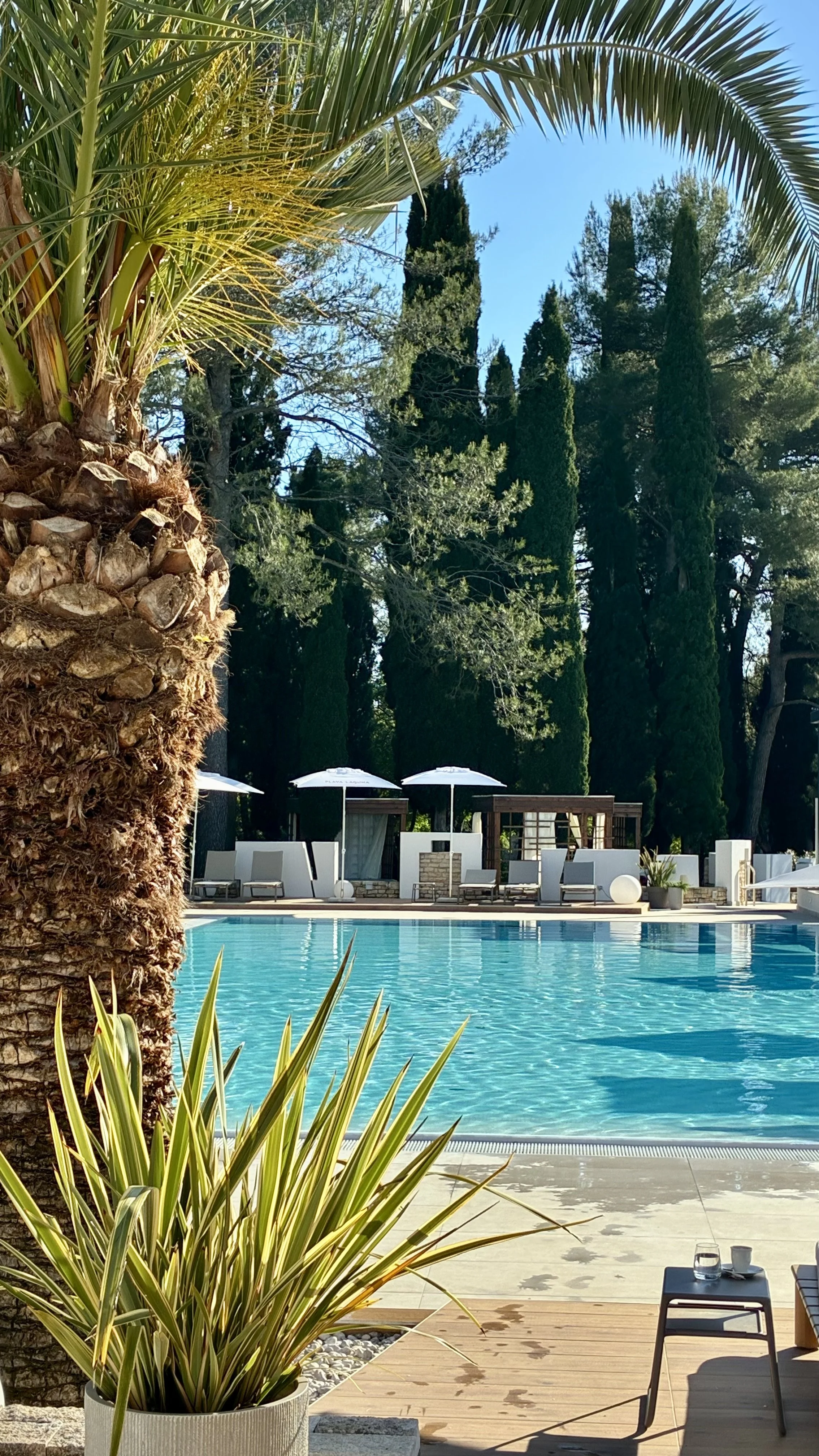 Ein Swimmingpool im Außenbereich, umgeben von Liegestühlen, Sonnenschirmen und großen Zypressen, mit einem Blumentopf und einem Tisch im Vordergrund.