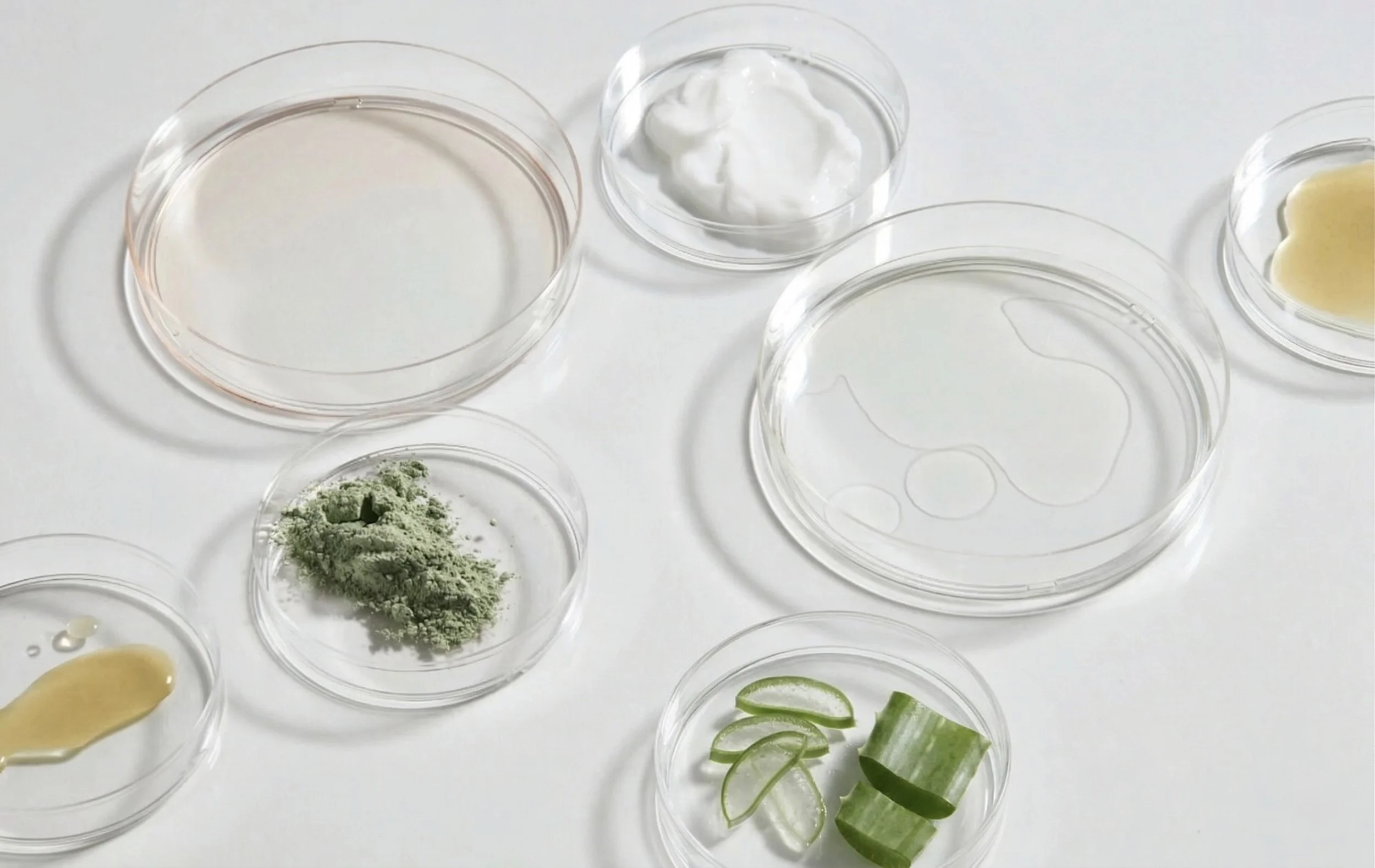 Mehrere leere und gefüllte transparente Behälter auf einem weißen Tisch, mit verschiedenen Zutaten wie grünem Pulver, Petersilie, Zitronenhälften, Limettenscheiben, weißer Creme, Zitronenscheiben, und anderem.