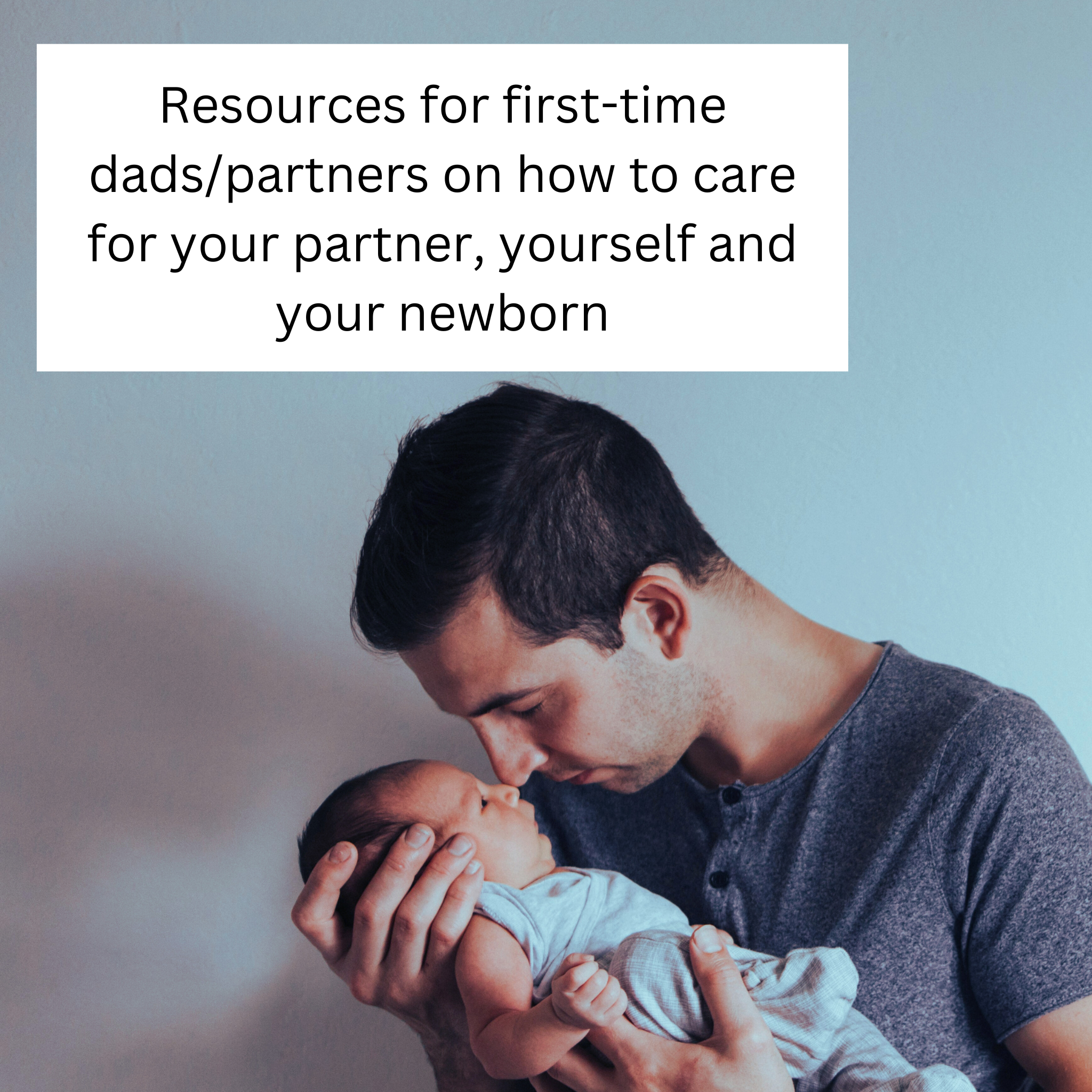 The Partners' Guide To Pregnancy And The First Eight Weeks