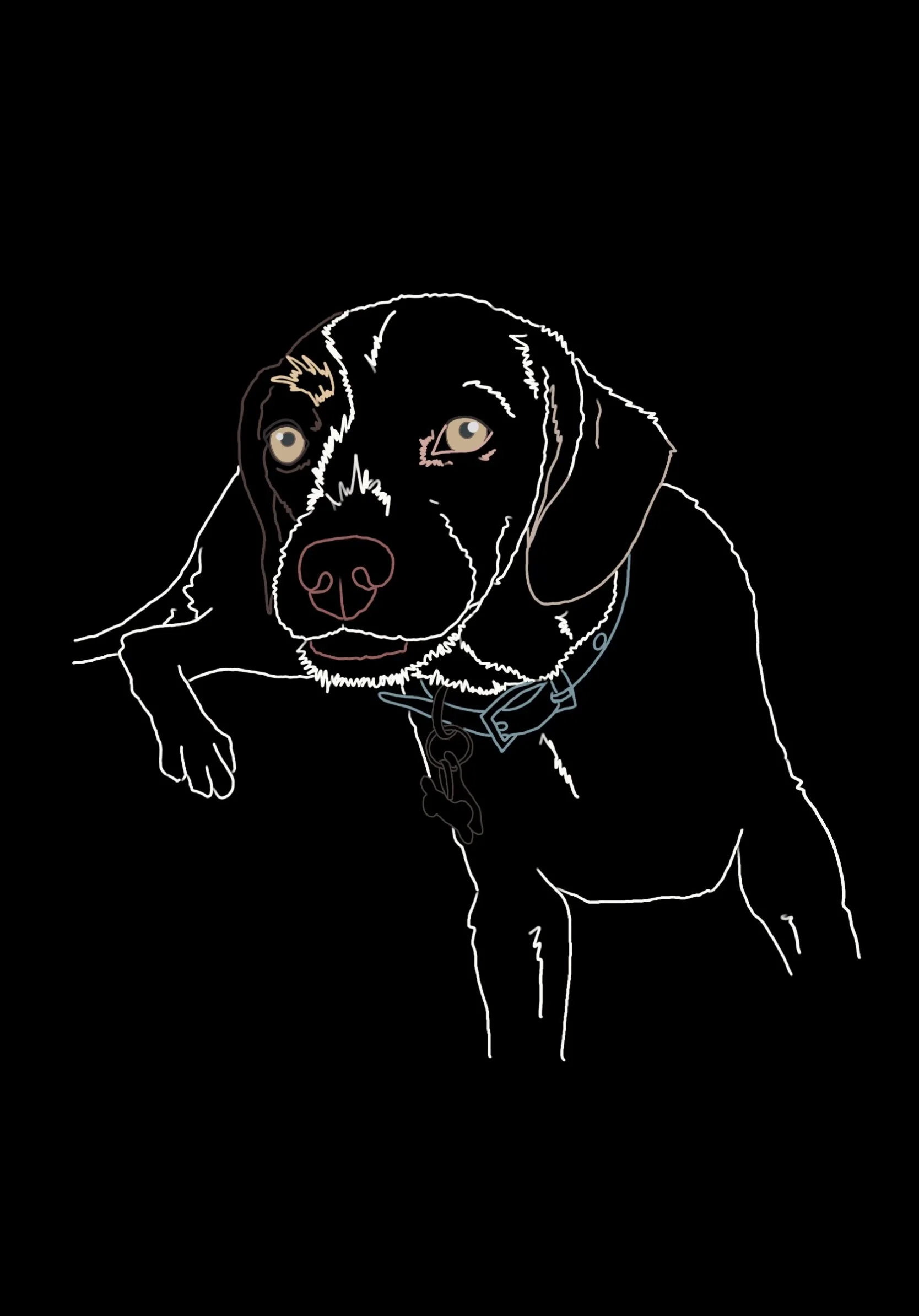 Willy.jpeg