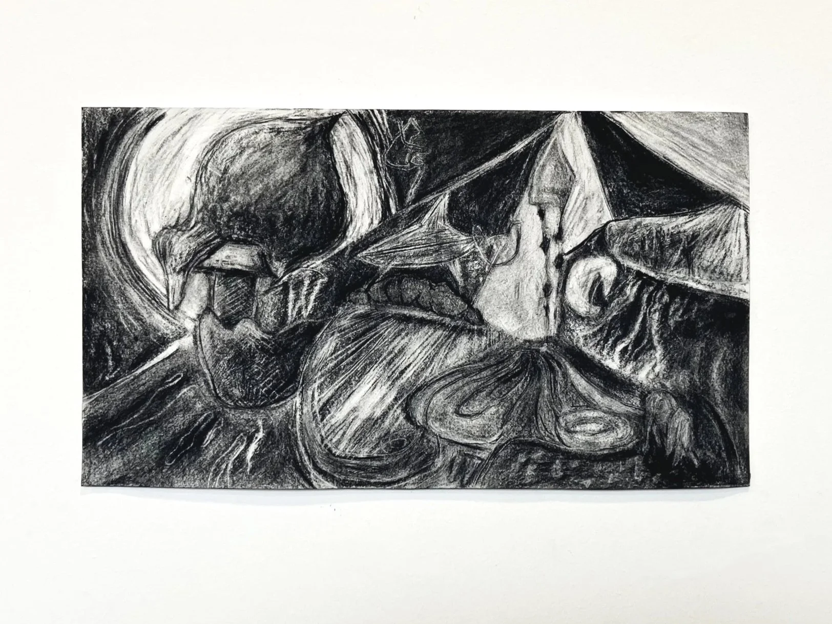 Gander, charcoal on paper. 