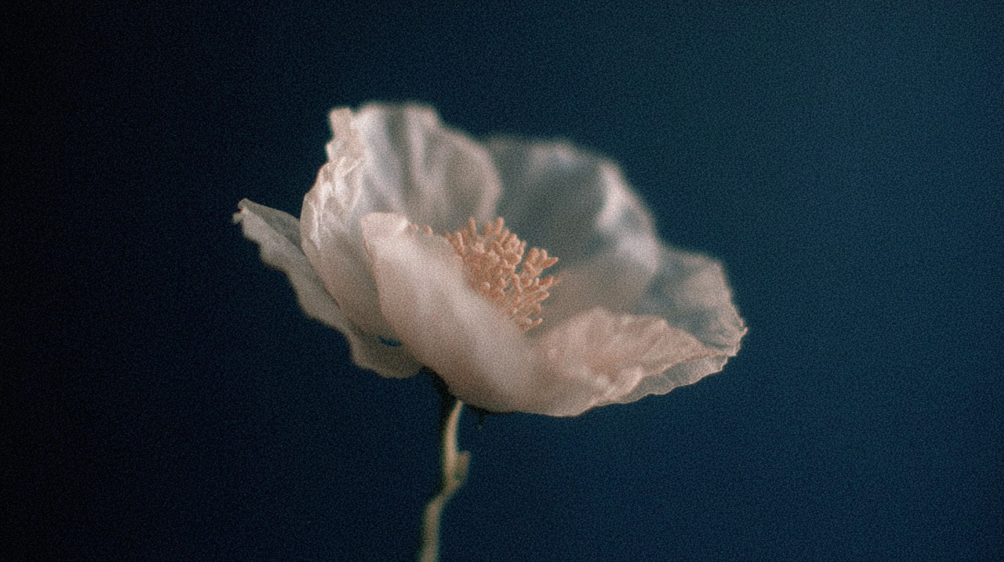 When We Stop Building Only for Ourselves