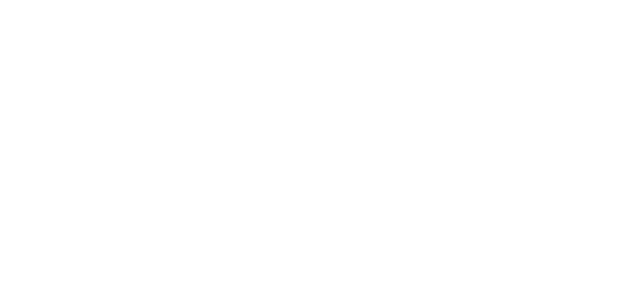 DSF_LOGO_med_TEKST_HVID.png