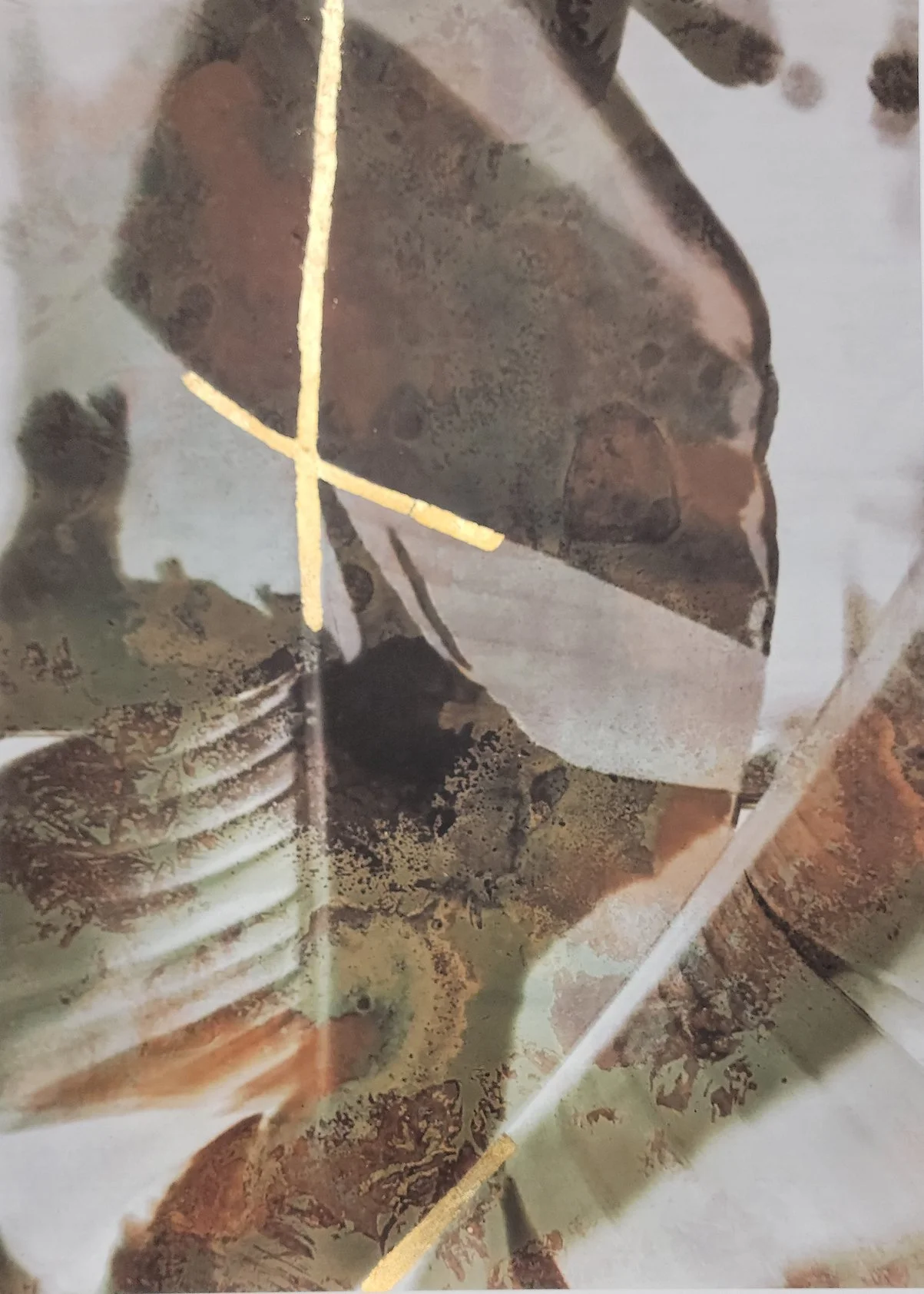 Kyung Won Kim: Layered Botany; A Record of Layers