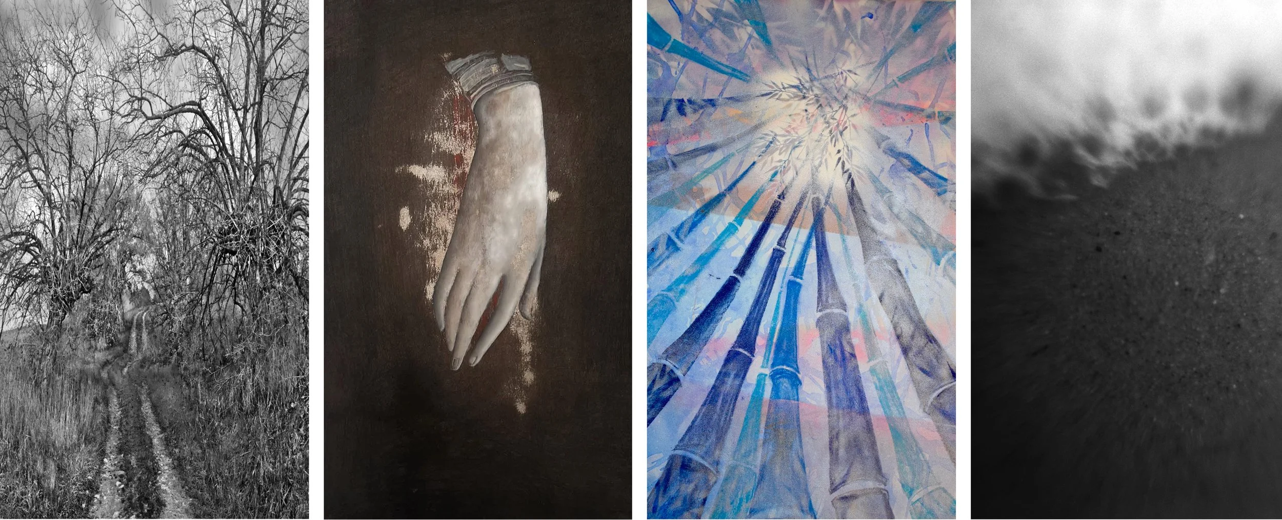 GONTINENTAL DIALOGUES:Image &amp; Surface