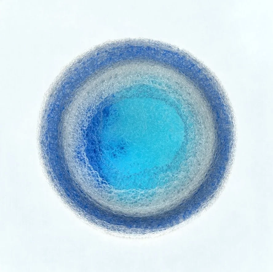 Wall Art4_ After the Sunset_ 8.5in Diameter_Hand-crocheted monofilament, plastic mesh, canvas55B41580-EF44-42B1-914F-8EADB799E204_1_105_c.jpeg