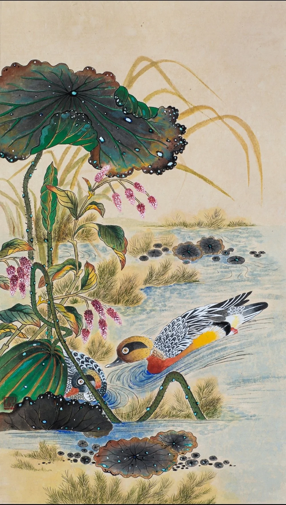 lotus and duck_25.jpg