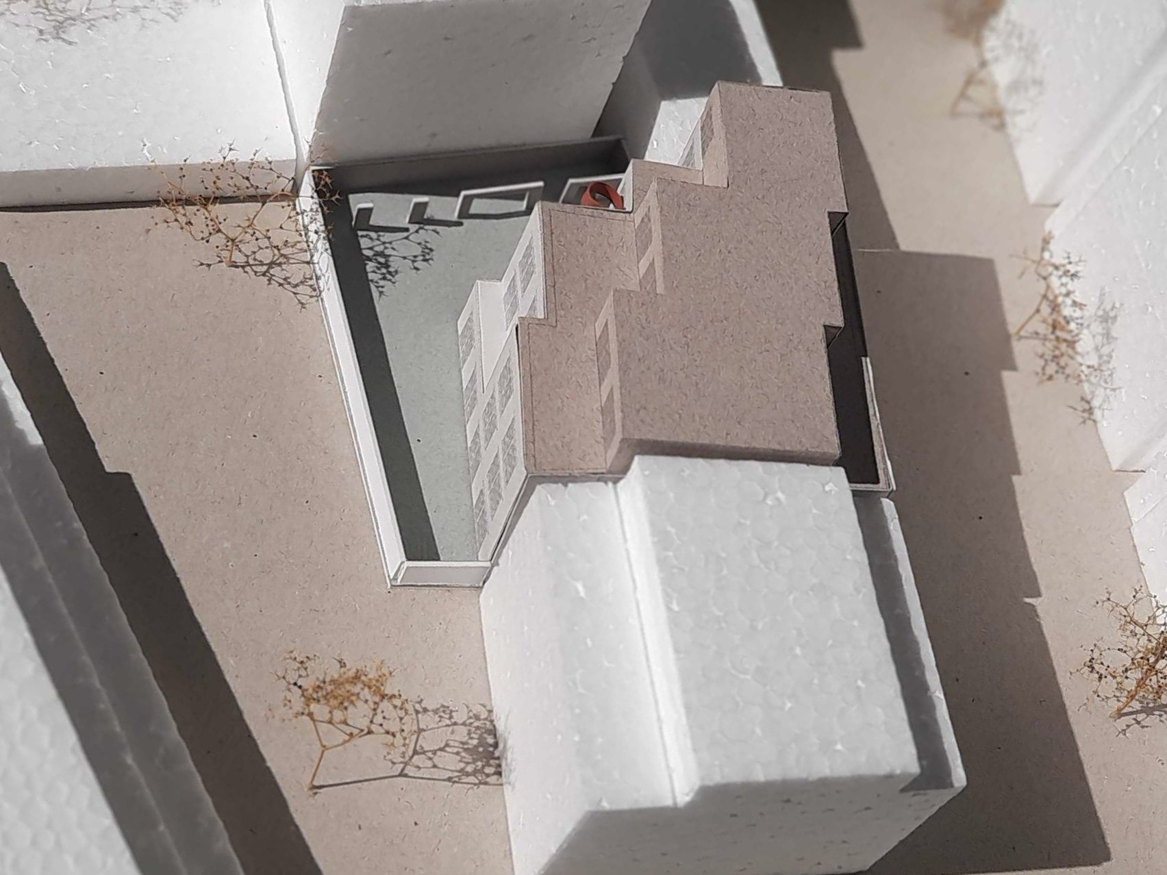 20210521_165941 copy (1).jpg