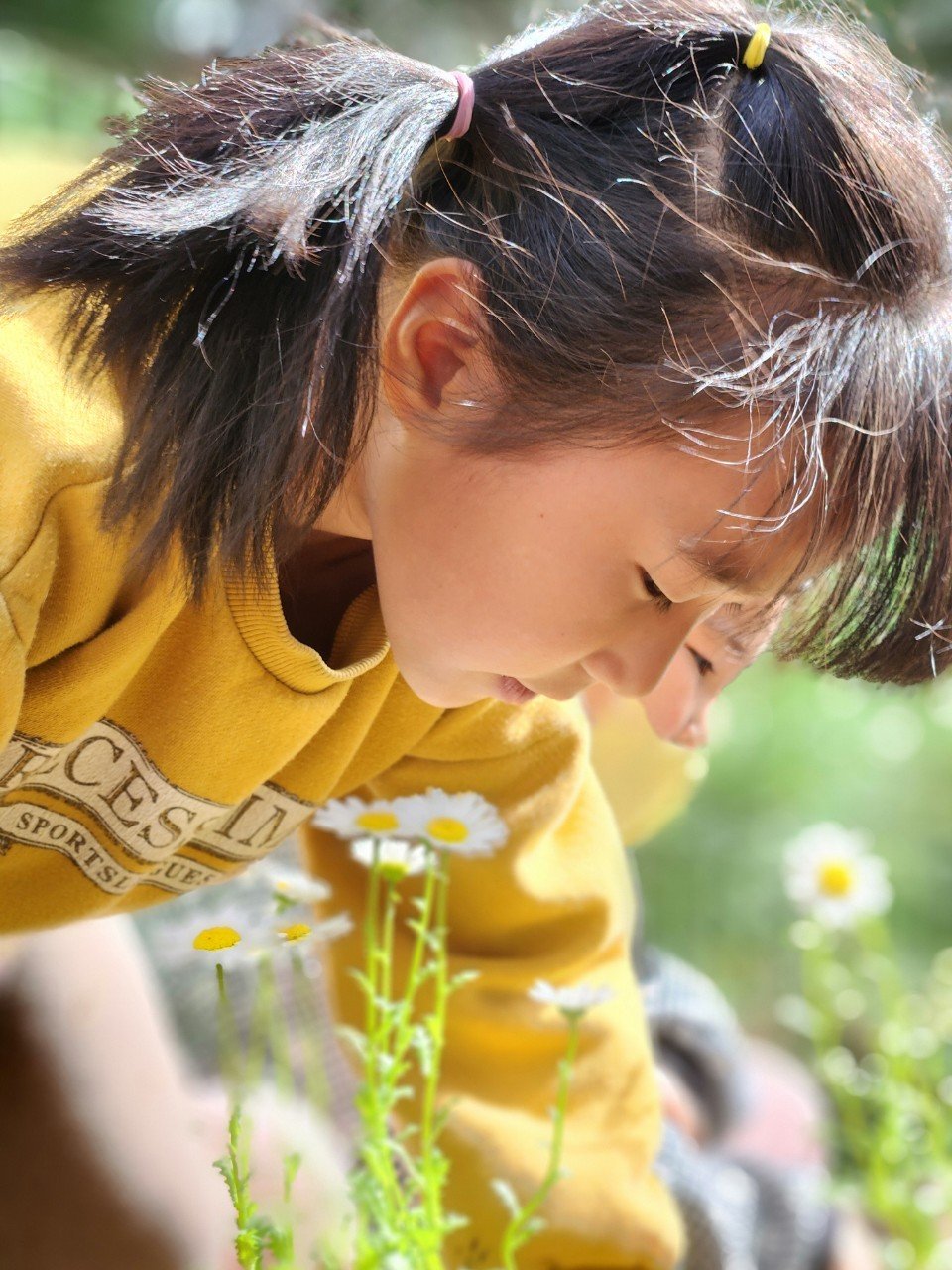 노란색 후드티를 입은 어린 소녀가 작은 흰색 데이지 꽃을 관찰하는 모습.