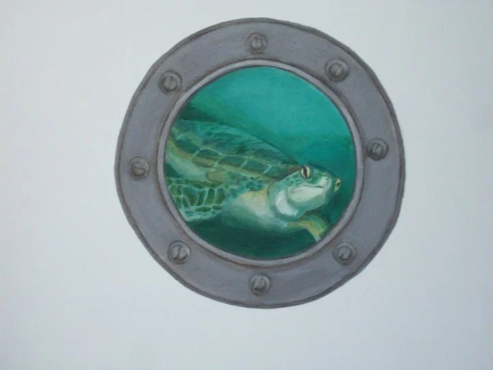 portholeturtle.jpg