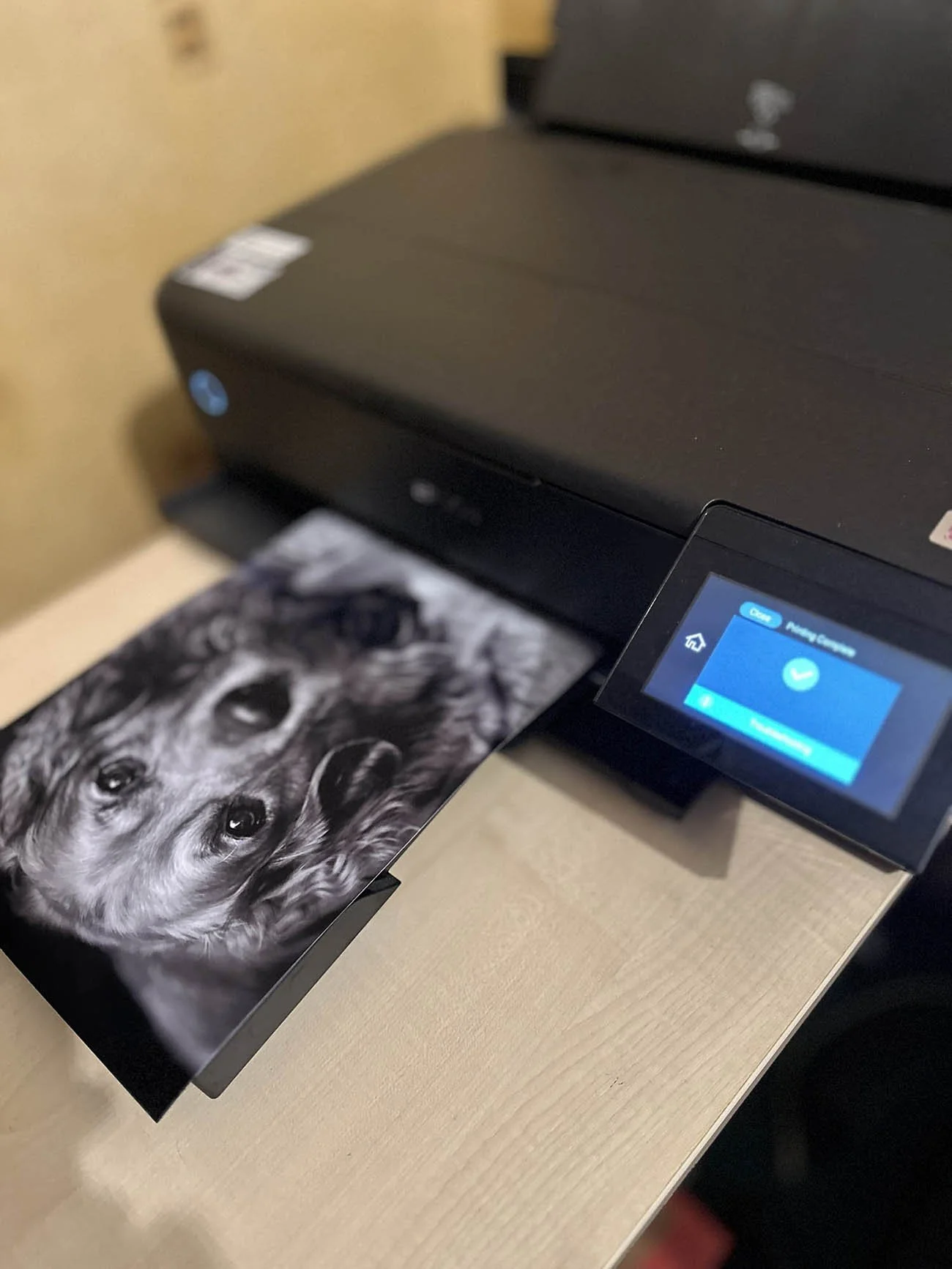 A4 mono printing on semi-gloss paper from my Epson printer for a client in Craigavon.