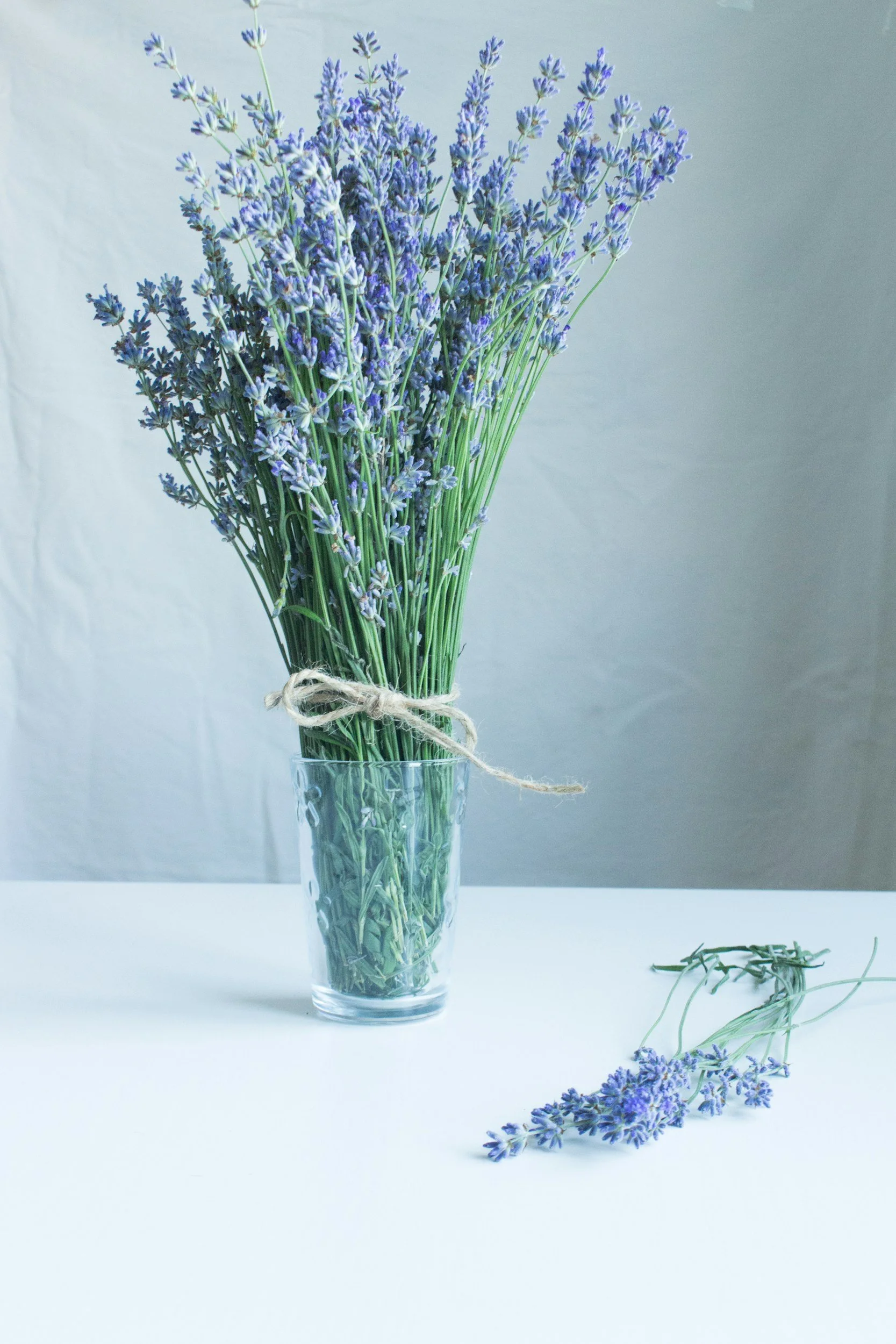 lavender plant in clear vase on table with lavender sprigs on table