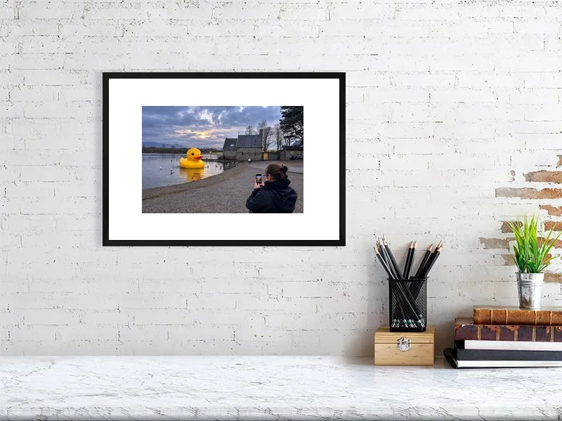The Sighting - Limited Edition Print (75)