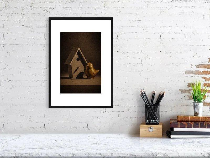 Bird House | Limited Edition (75)