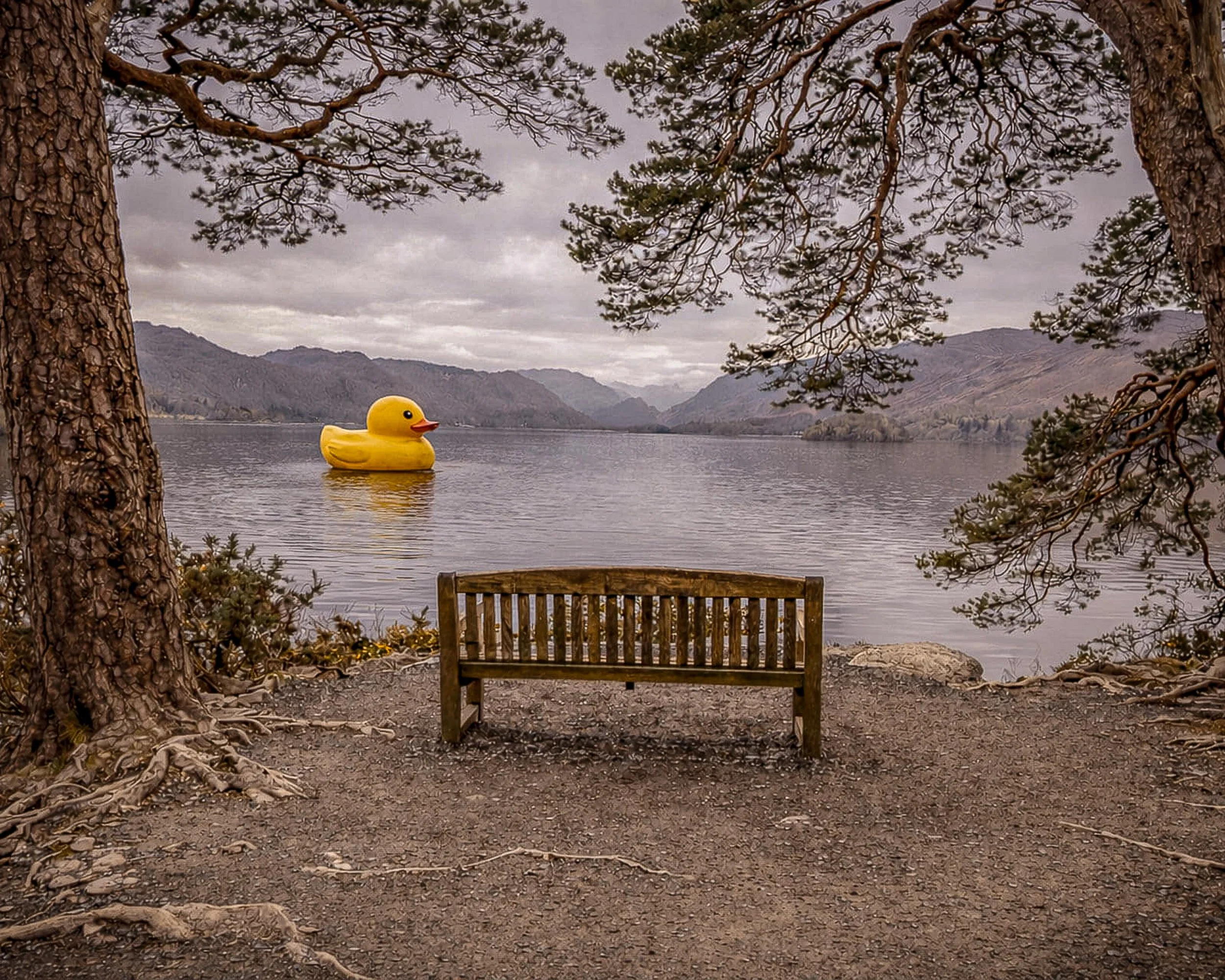 Untitled-9.jpg