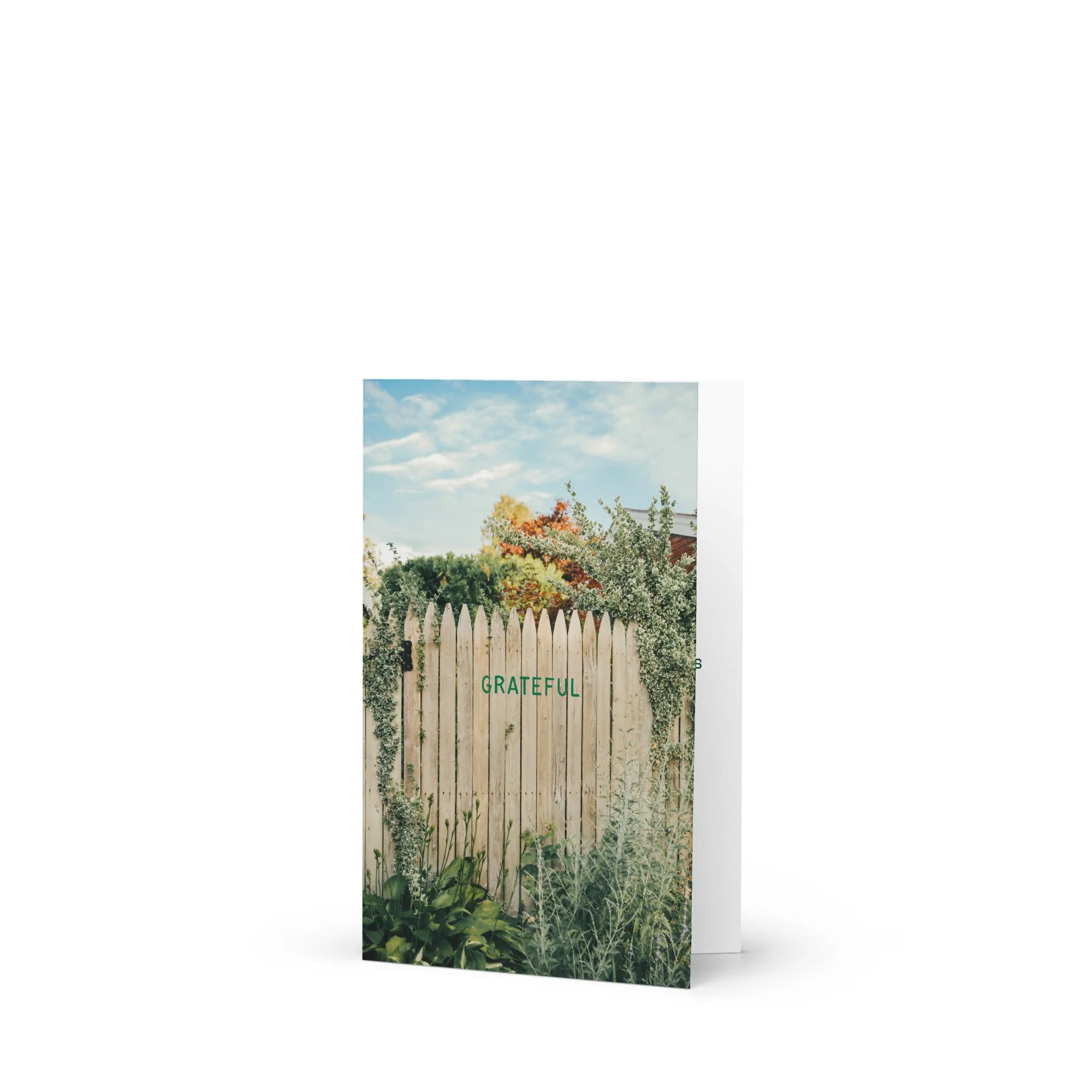 greeting-card-4x6-front-69eb6e63717ce.jpg