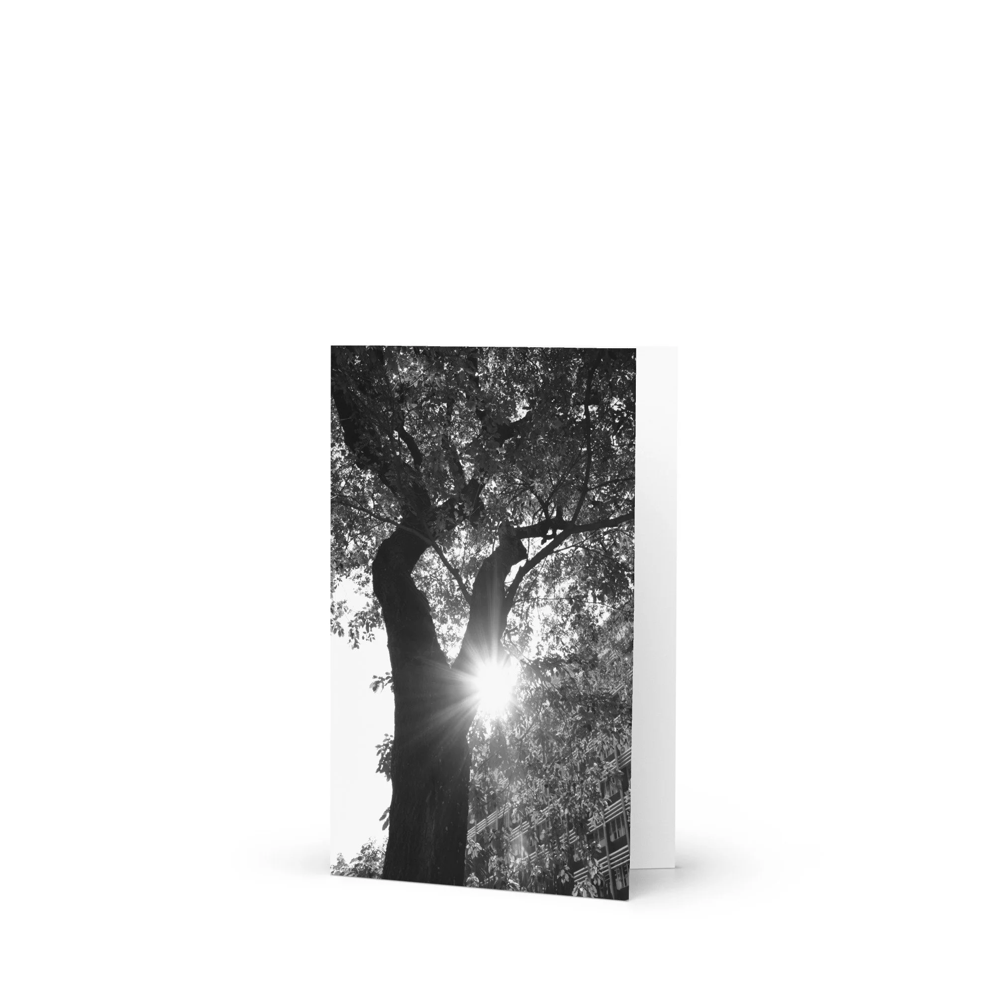 greeting-card-4x6-front-69ea895765ef3.jpg