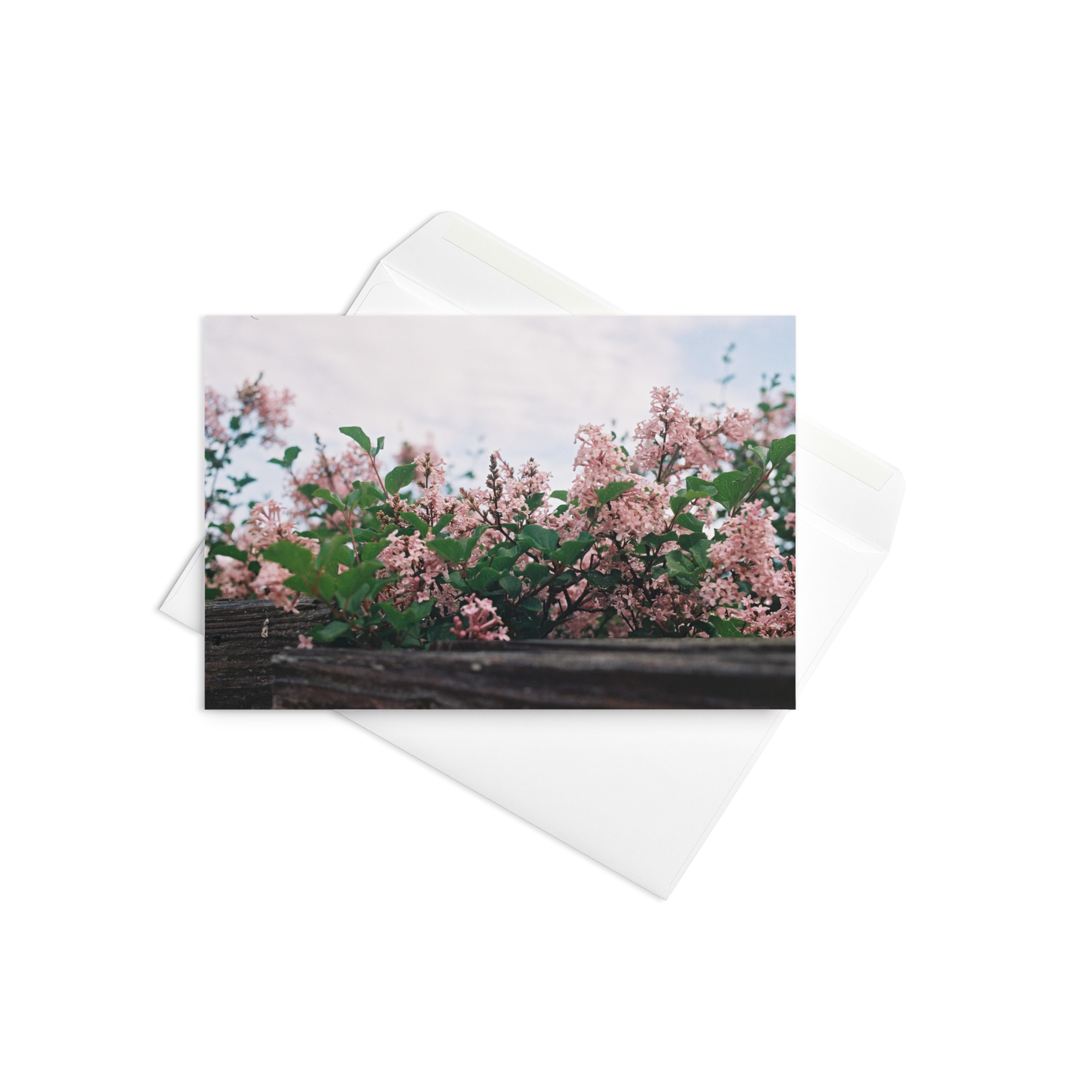 greeting-card-4x6-front-69ea30a77b173.png