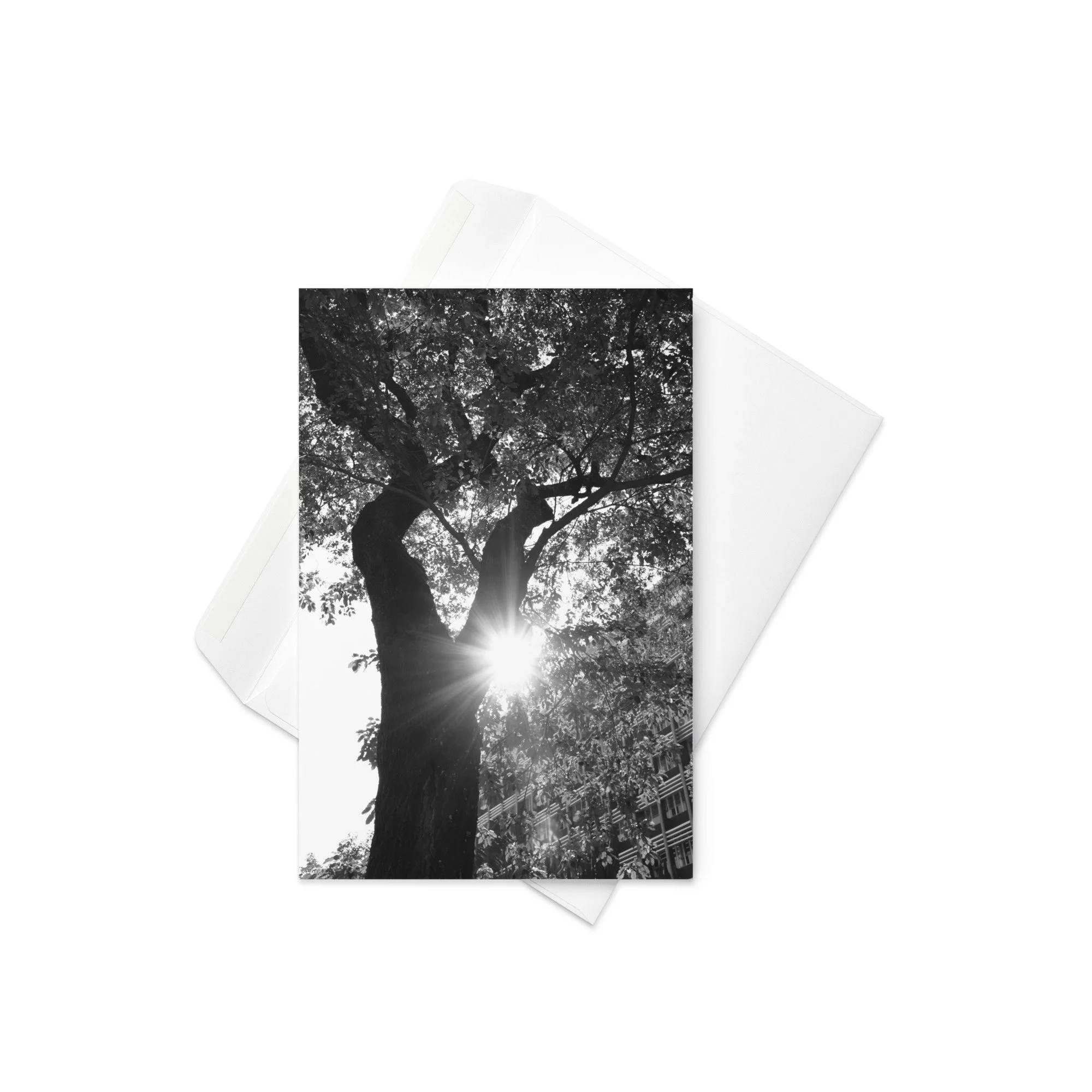 greeting-card-4x6-front-69ea89576695e.jpg
