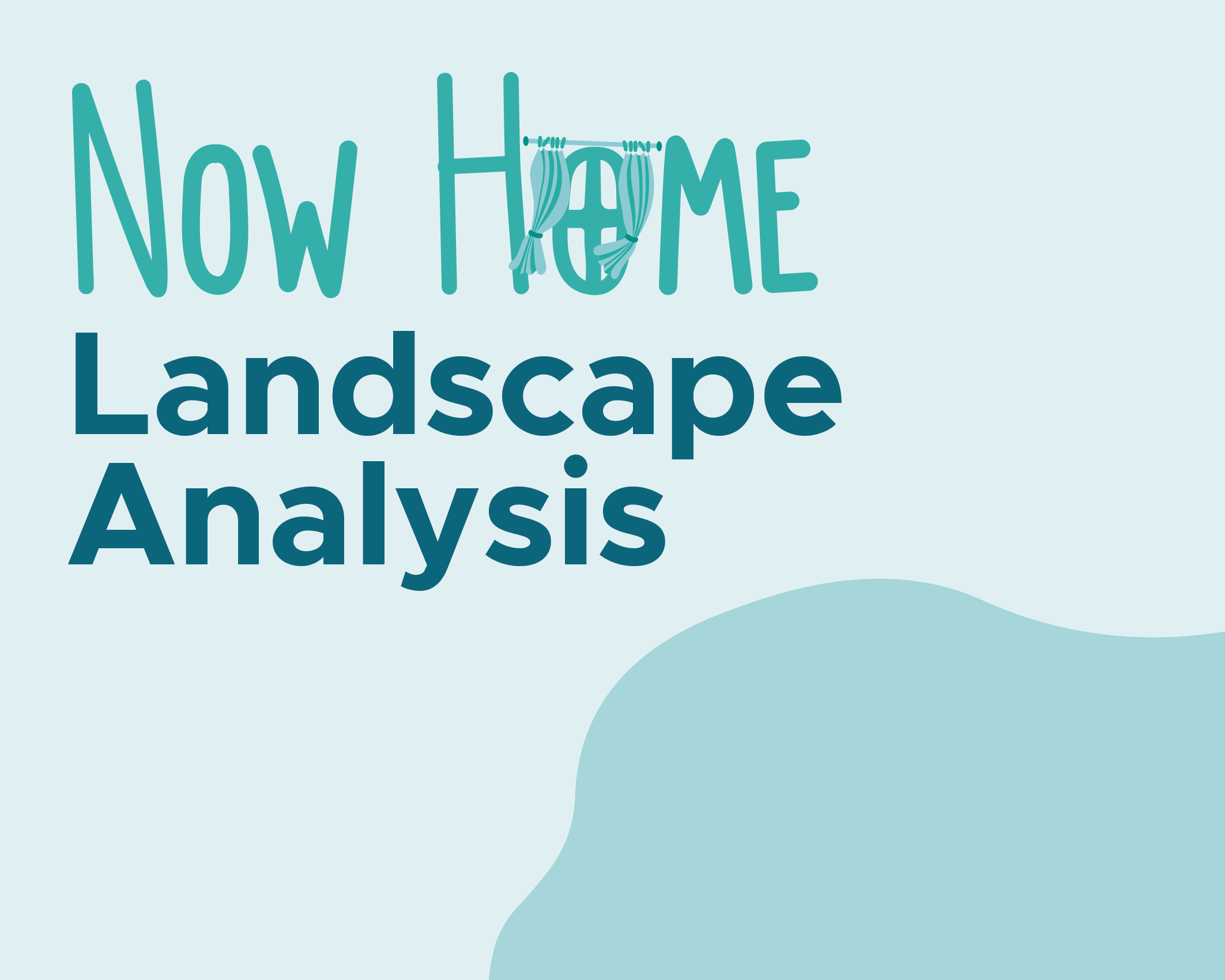 Now Home Landscape Analysis