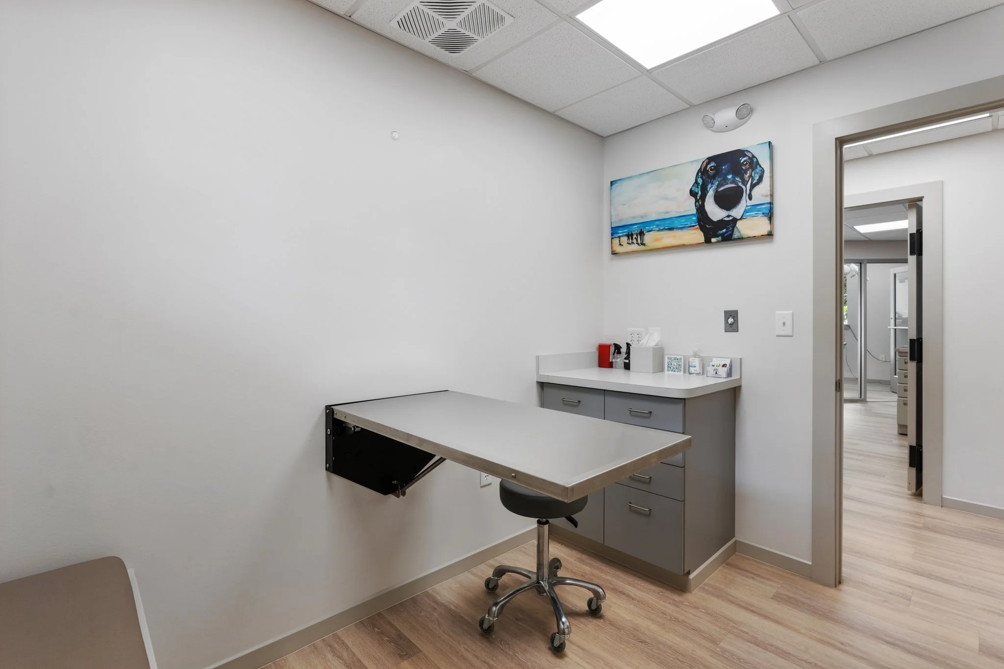 6-web-or-mls-DSC02758.jpg