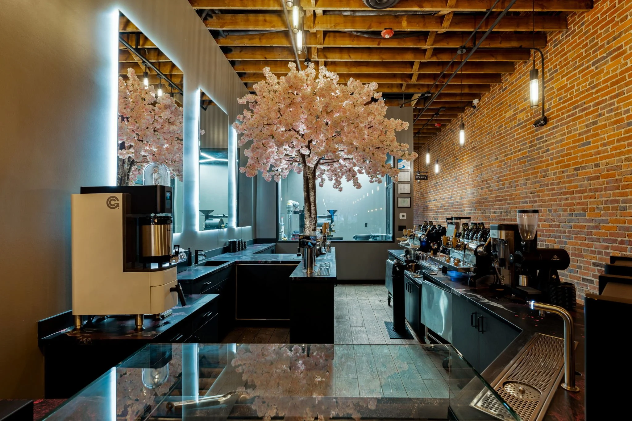 6-web-or-mls-Tselia Coffee-12.jpg
