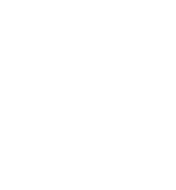 Public Protection Agency (Copy)