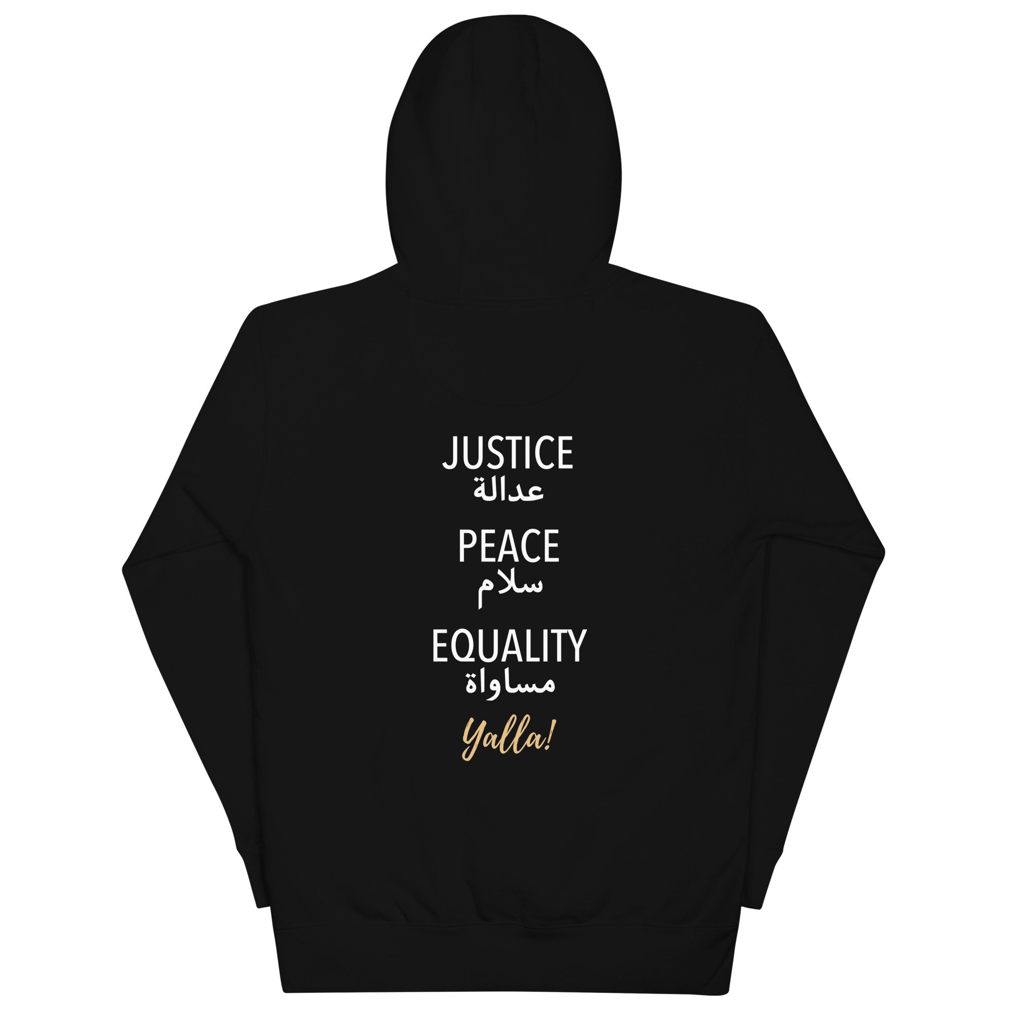 unisex-premium-pullover-hoodie-black-back-69c6f37fd00a4.jpg