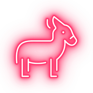Three Mules Marketing