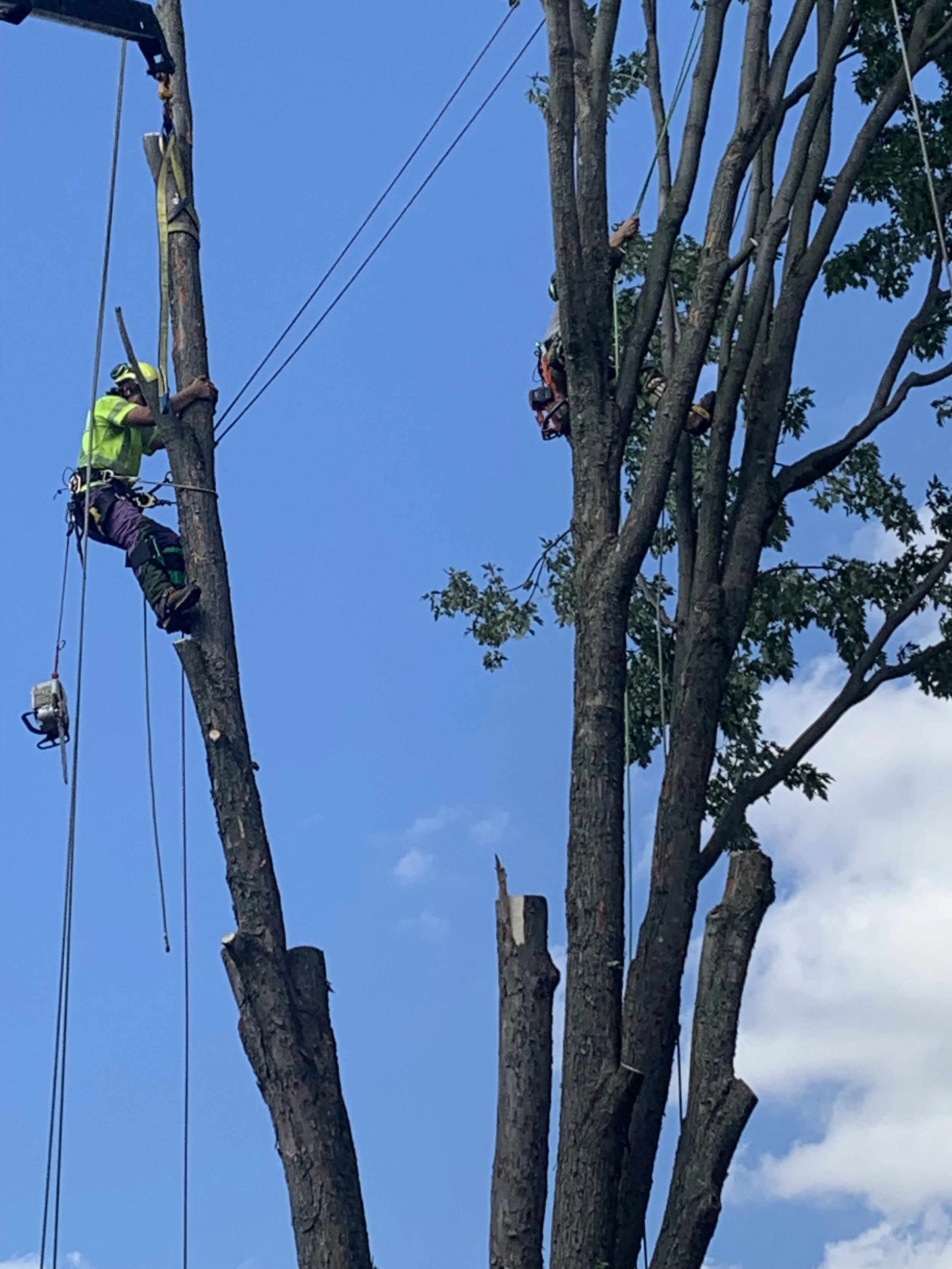 Tight access removal using professional rigging