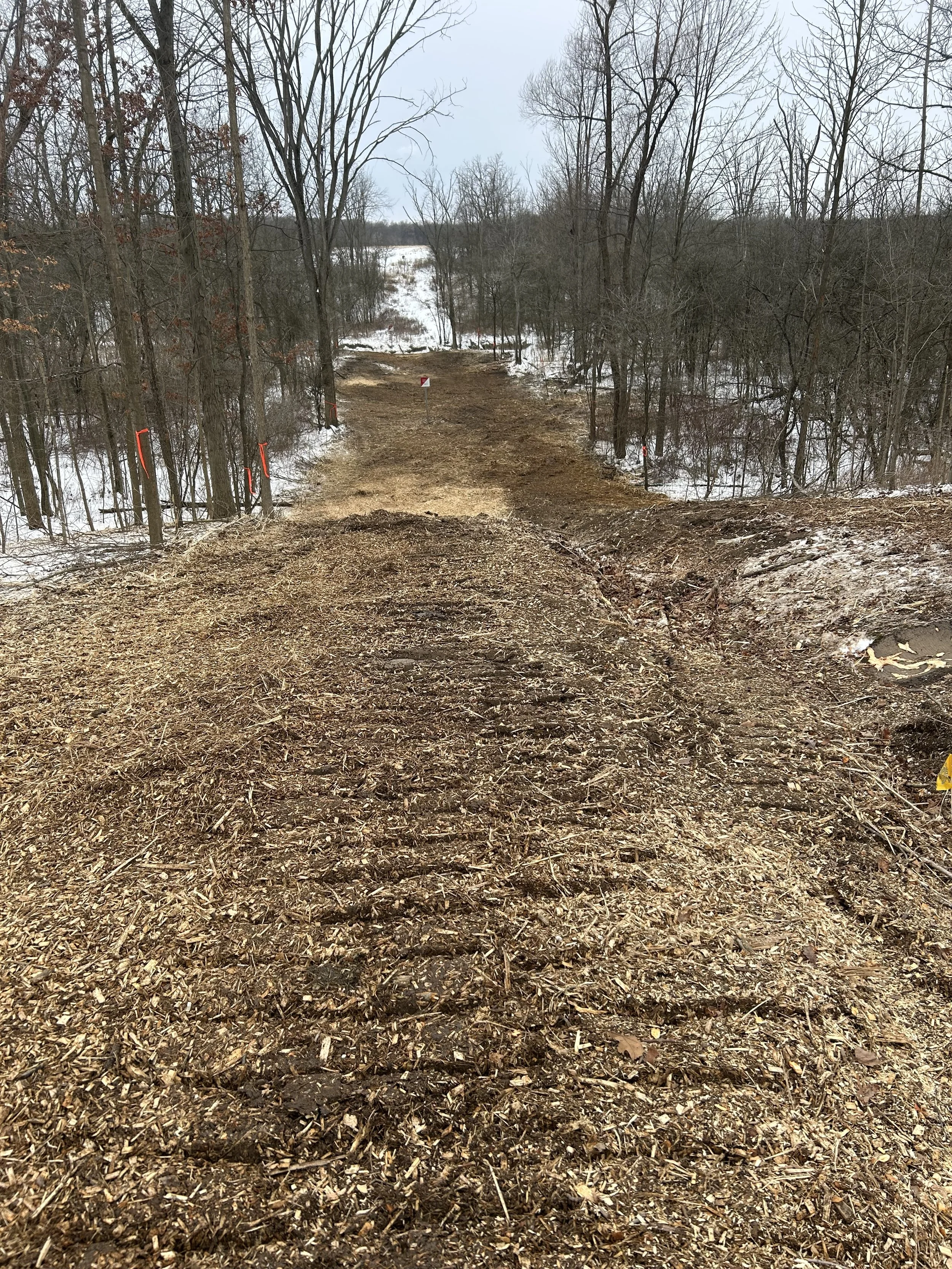Full property cleared and cleaned