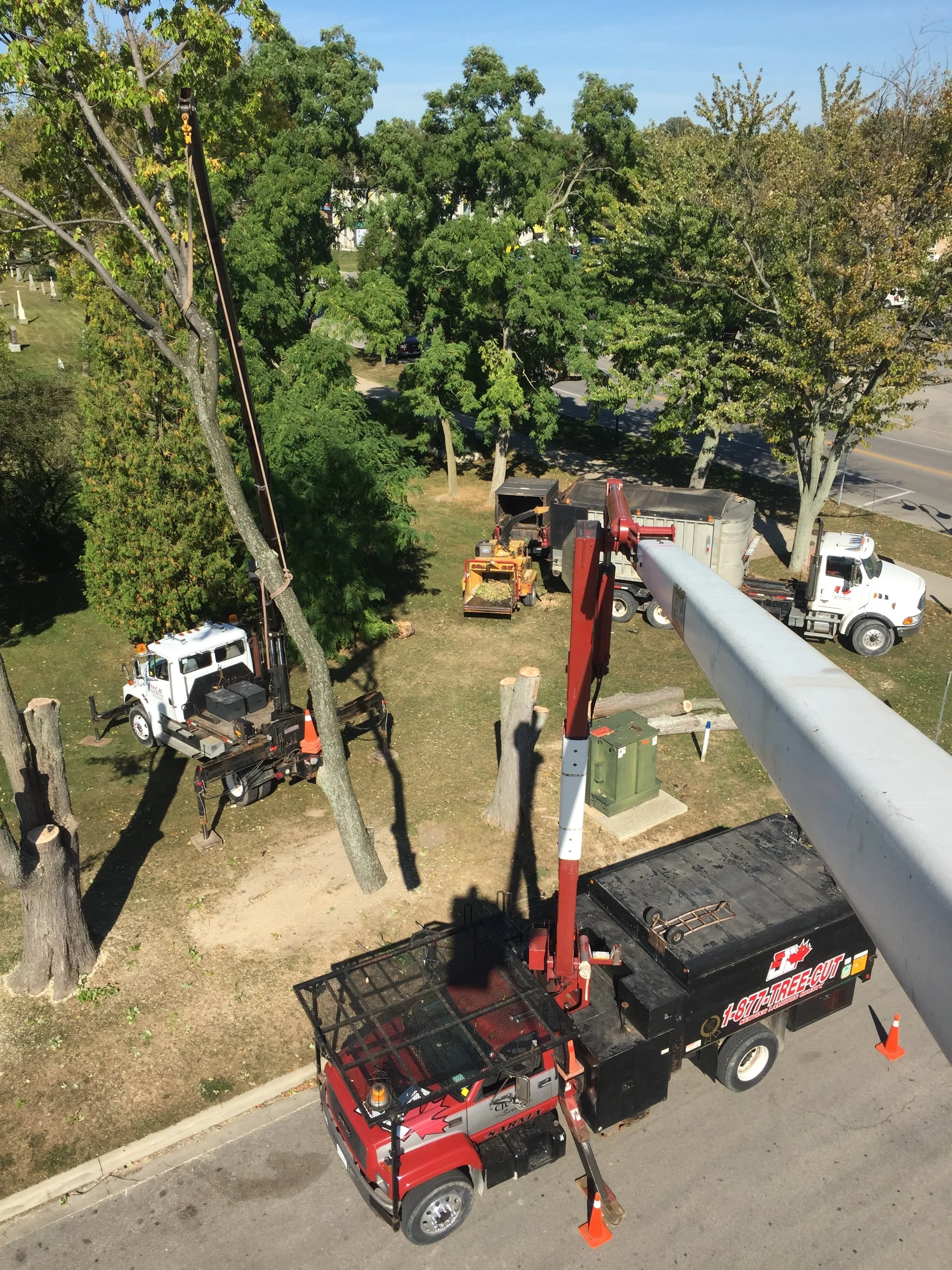 crane job.JPG