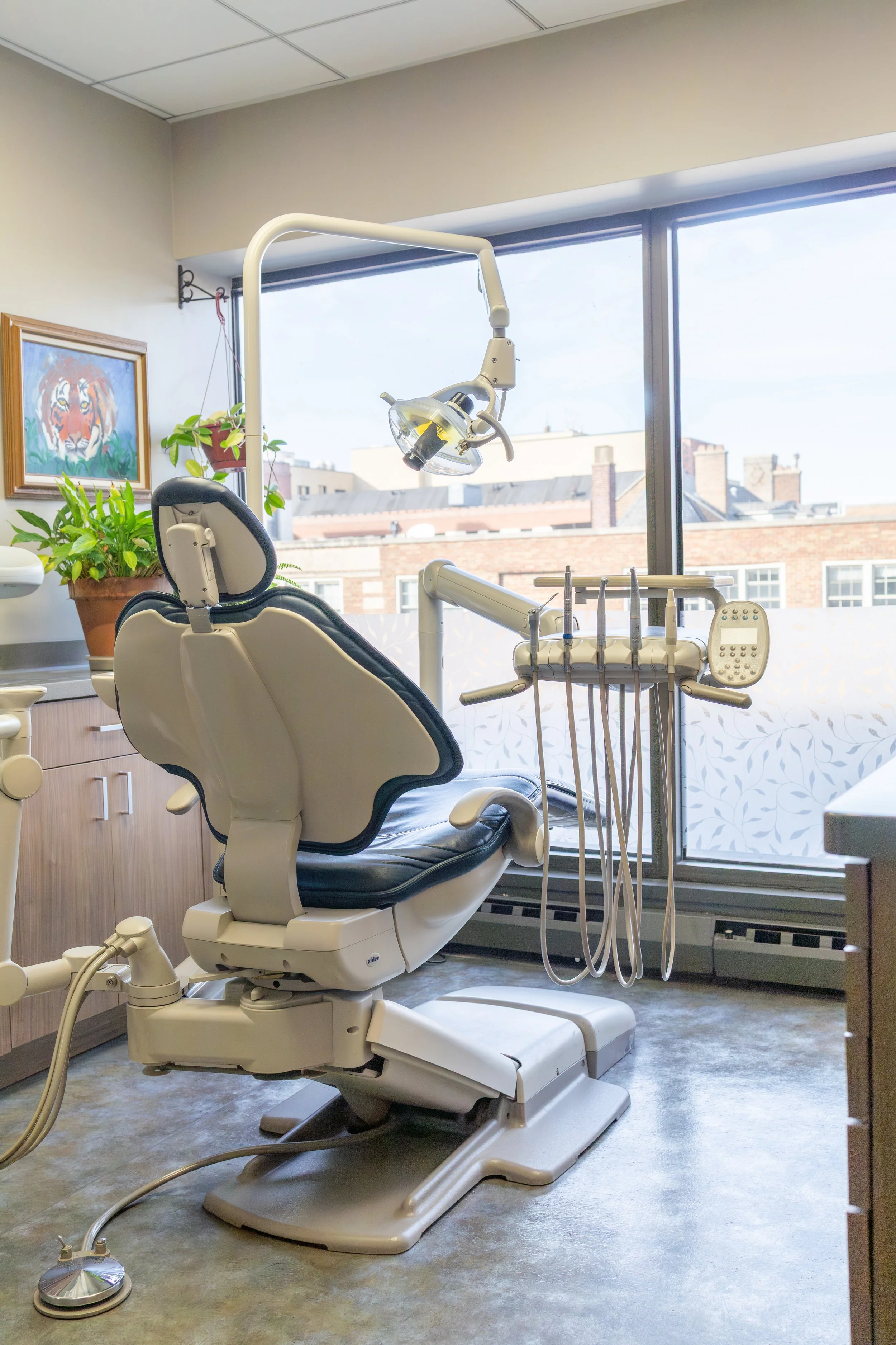 A dental exam chair in a sunny office with a large window