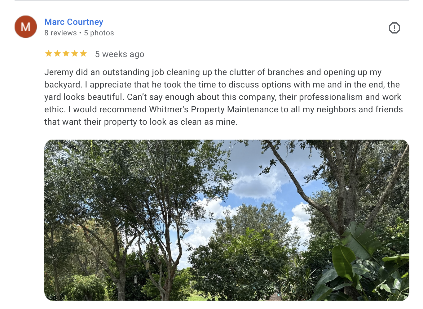 A backyard with tall trees, green leaves, and a blue sky with some clouds.