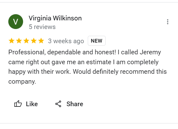 Screenshot of a Google review by Virginia Wilkinson praising a company's professionalism, honesty, and reliable estimate, recommending it highly.