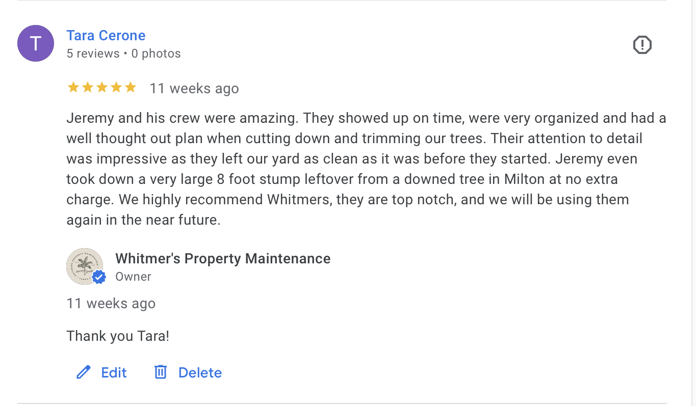 Review from Tara Cerone about Whitmer's Property Maintenance, praising Jeremy and his crew for their professionalism and quality work in tree cutting and trimming.