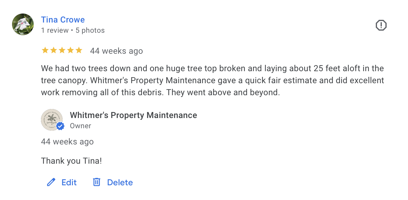 Review from Tina Crowe about tree removal service, mentioning two trees down and one broken, with debris removed by Whitmer's Property Maintenance.