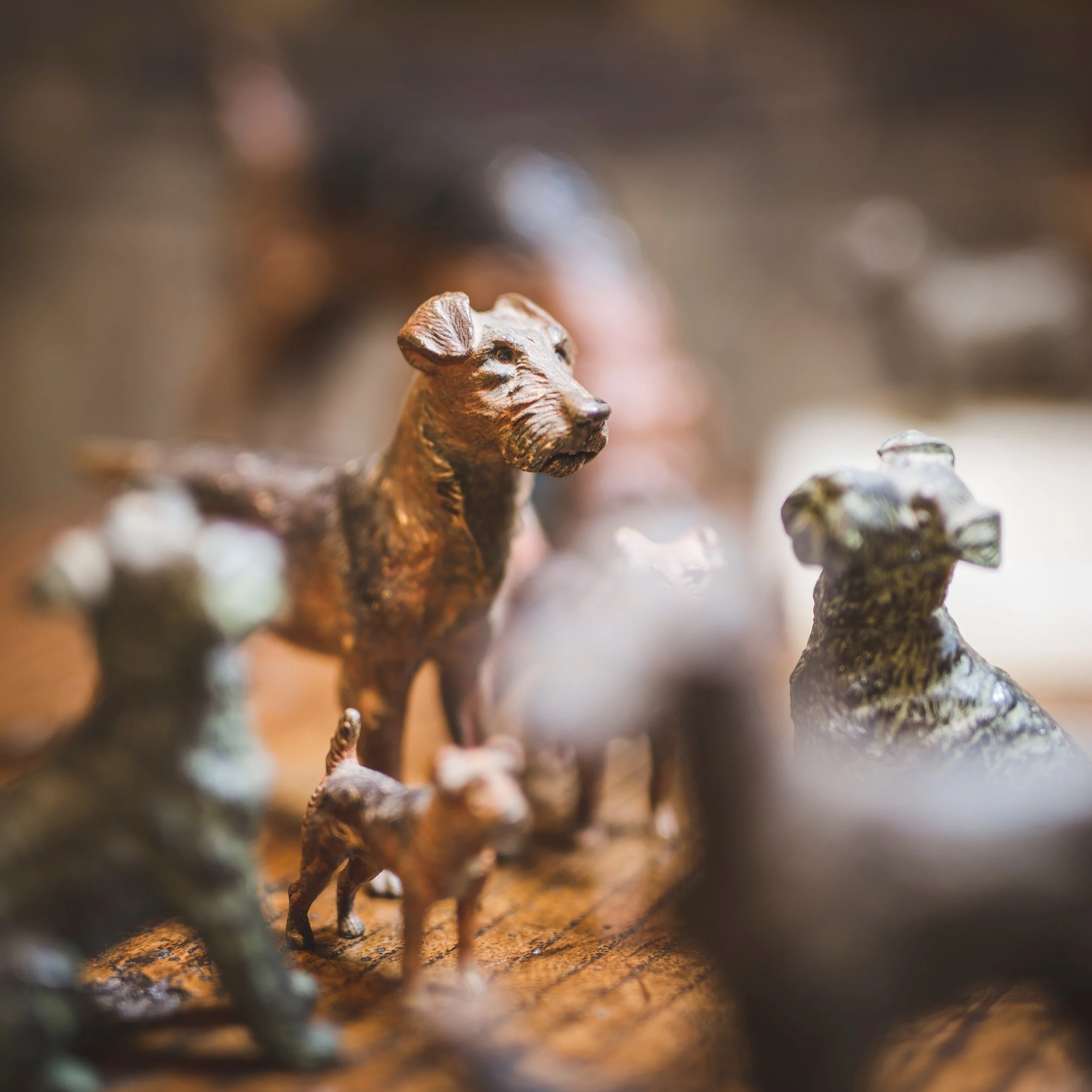 113164 Metal Dogs 3 HR.jpg