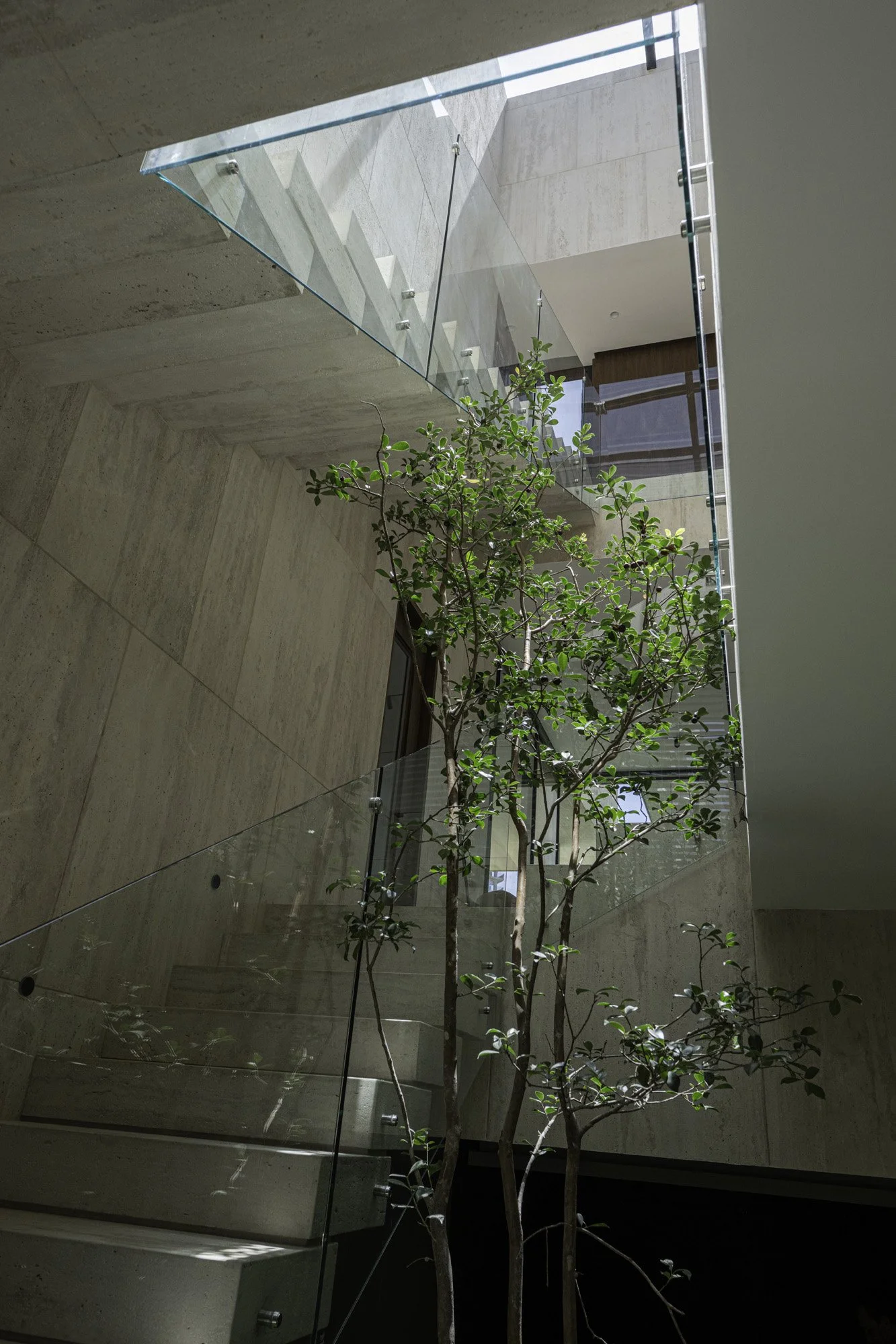 Vitro67y8-190.jpg