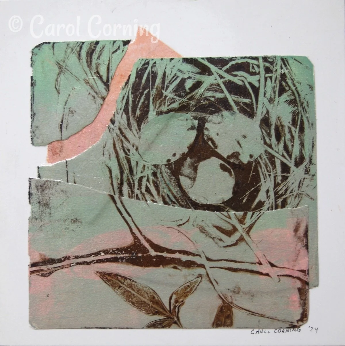 Birds Nest Series #4