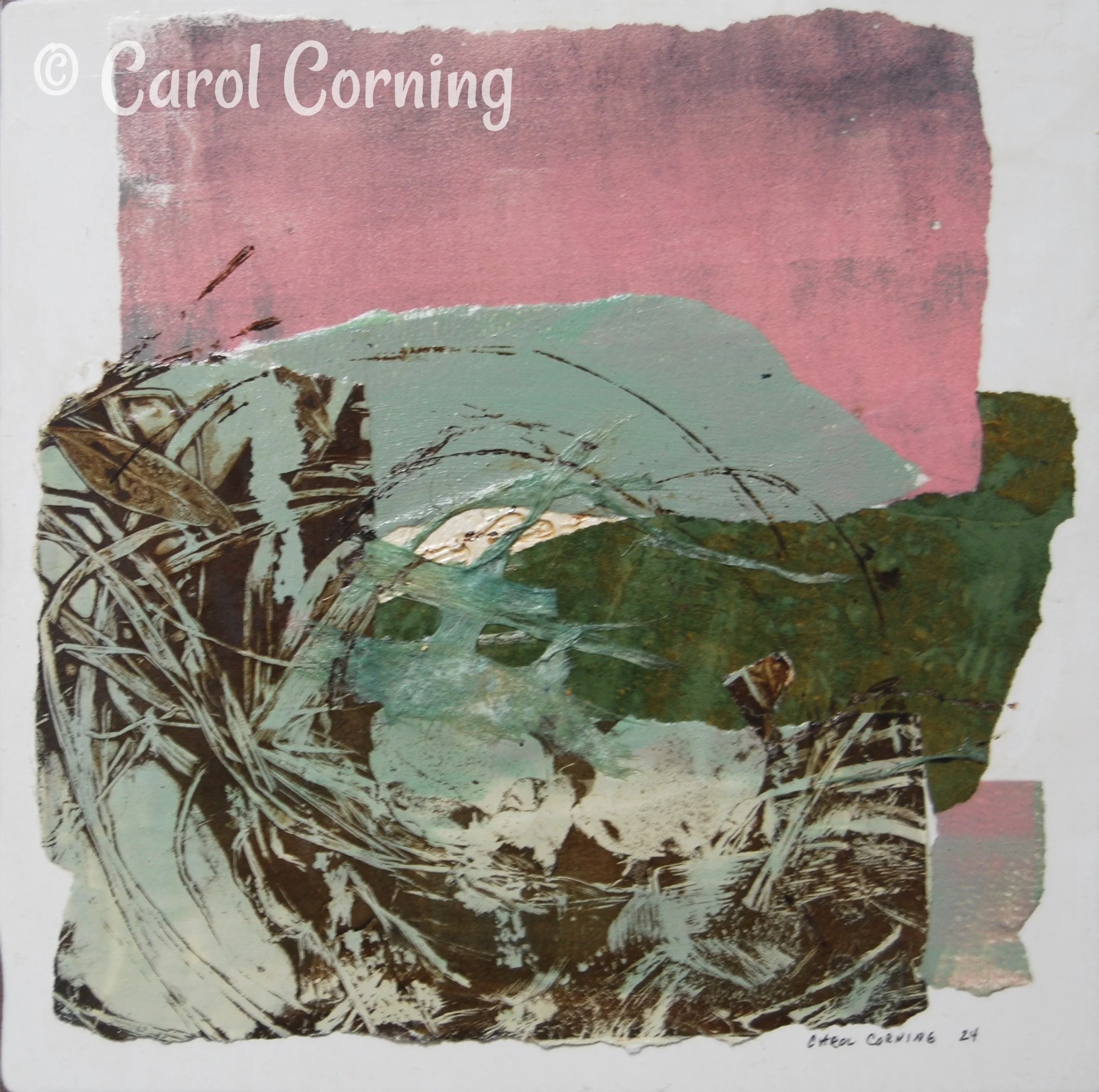 Birds Nest Series #3