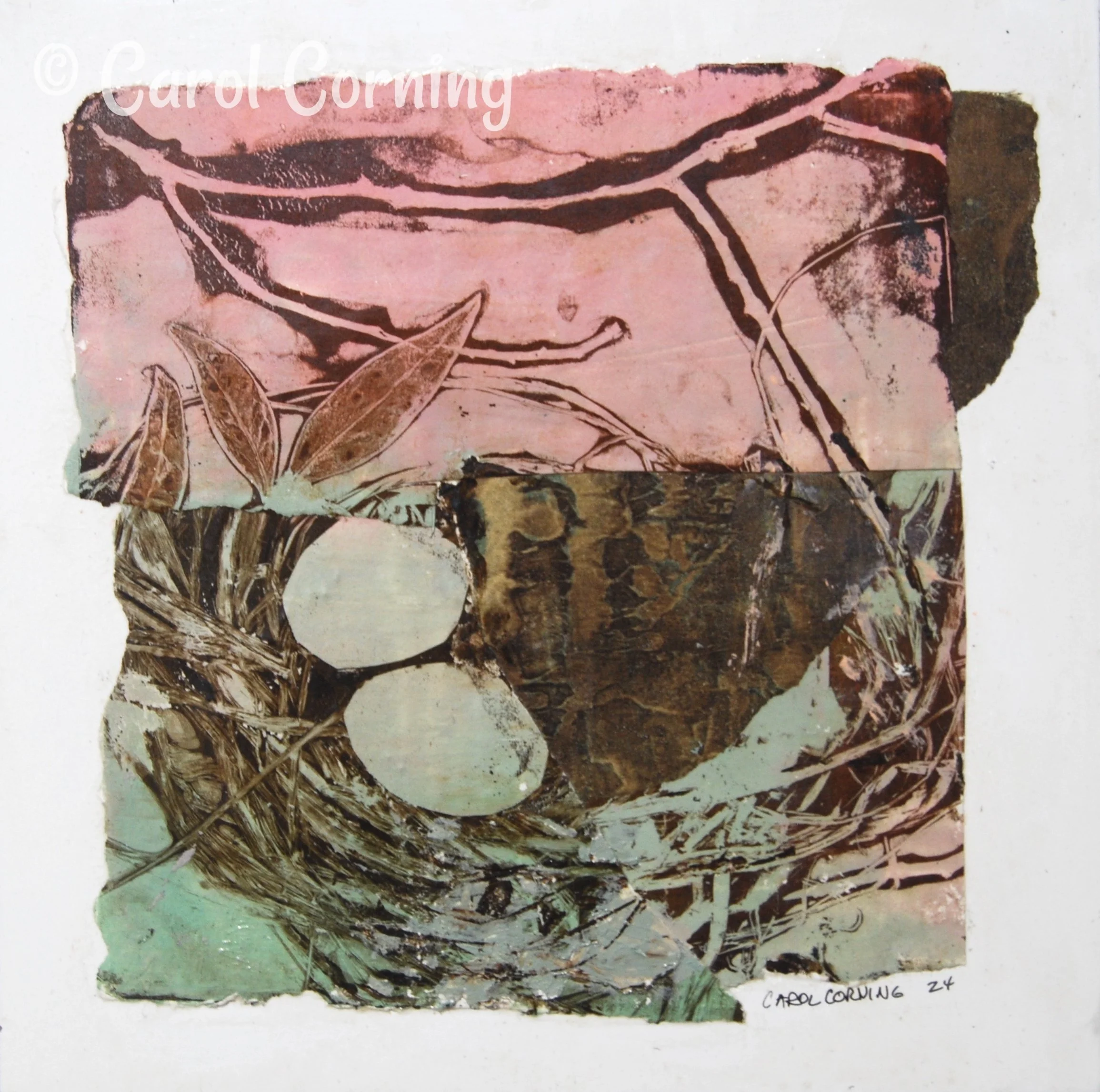 Birds Nest Series #2
