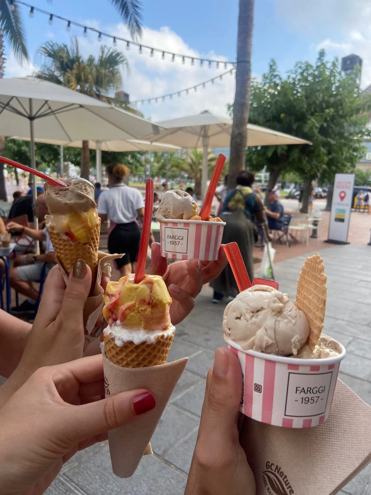 WhatsApp Image 2026-04-08 at 09.38.46 (1).jpeg