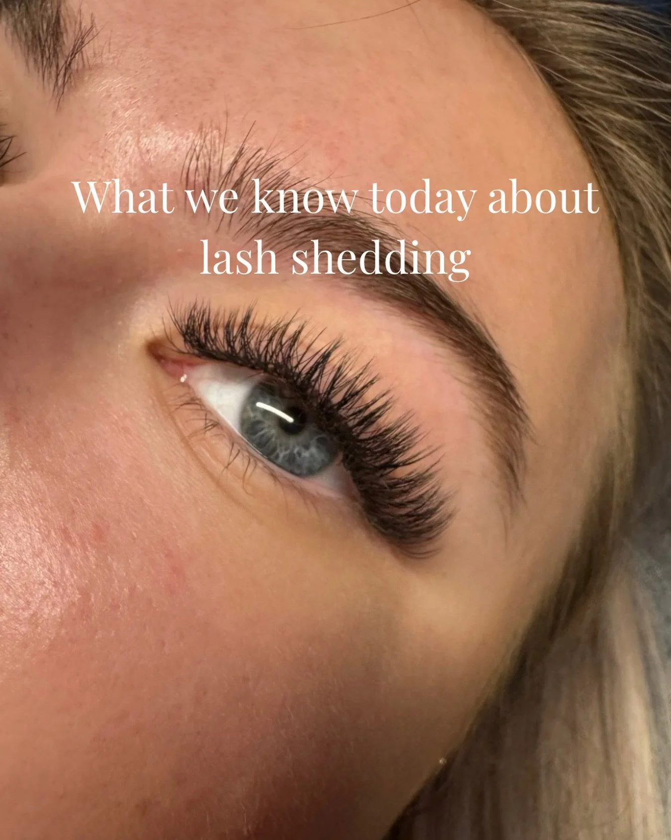 Let&rsquo;s talk about lash shedding. Not just the application, not just the glue, not just the aftercare. The biology. Because I think this conversation deserves a little more depth and I want to share what I know and what I have experienced firstha