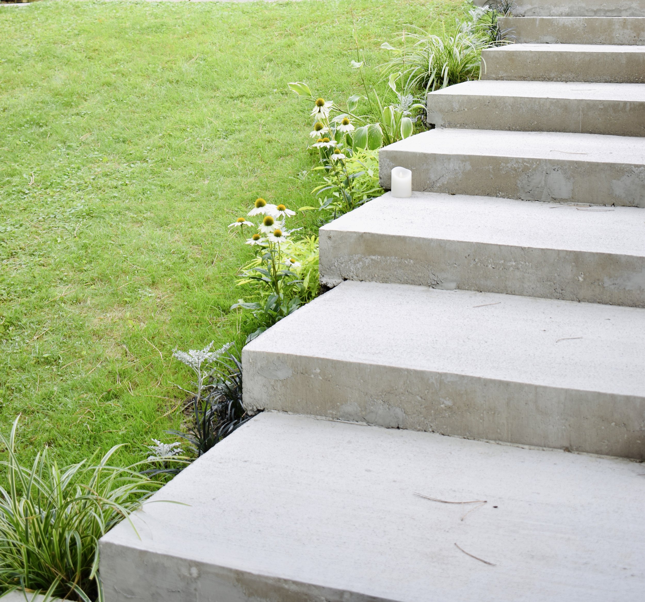 Concrete stairs next to a garden with grass and various green plants, including white daisies, and a small white candle at the base of the stairs.
