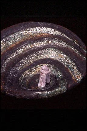 5.close-up2.jpg
