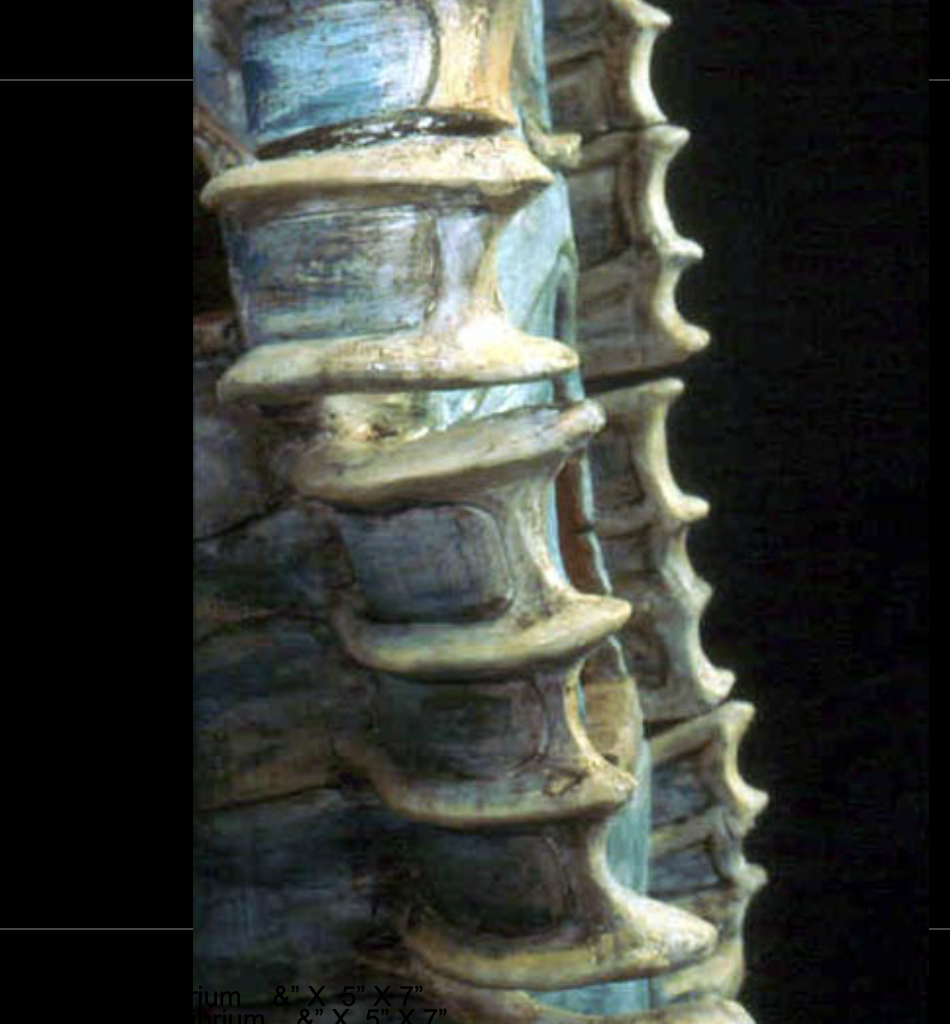 5.close-up2.png